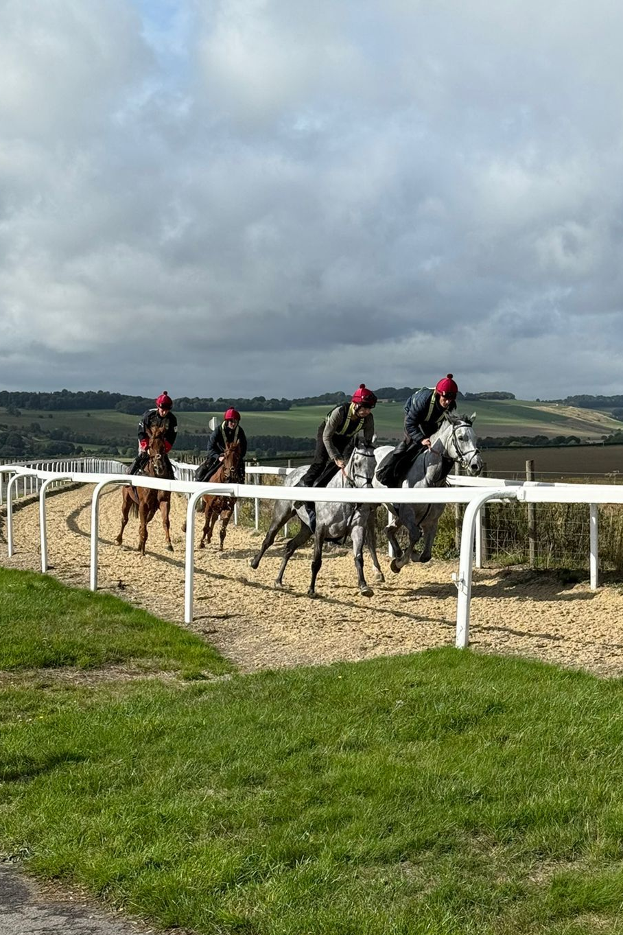 Nick Scholfield Gallops Three jockeys on bay horses riding on a track. Riders wear red hats and black clothing. White fence in foreground.