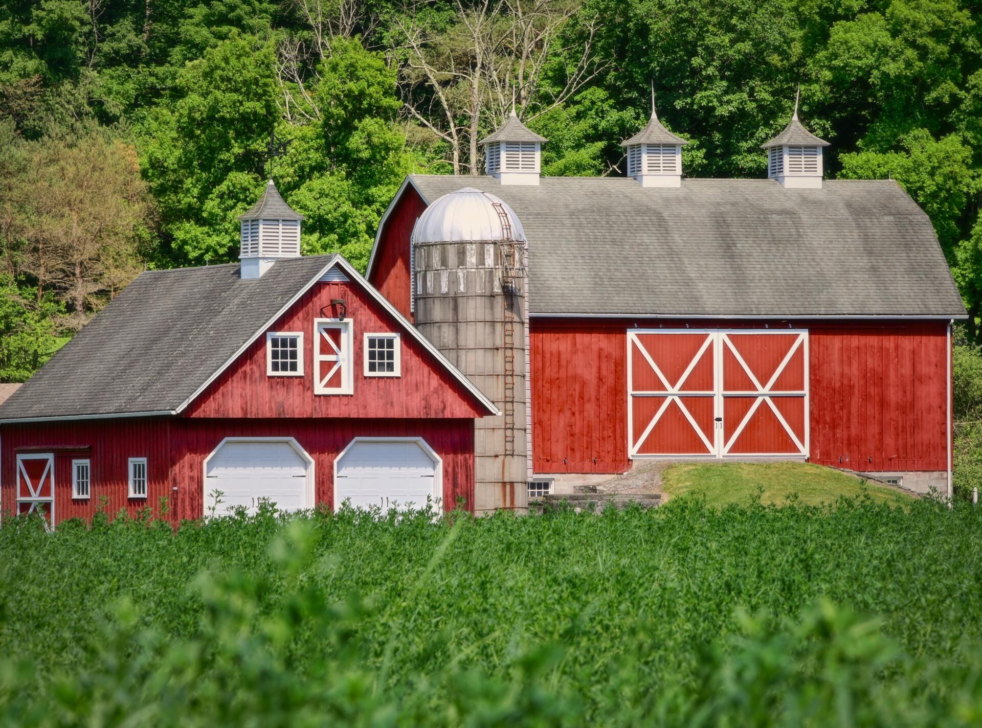 Lancaster County Barns, barns, Lancaster County, cupola
