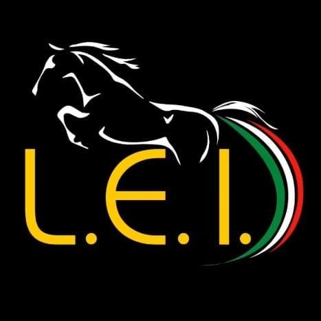 logo asi