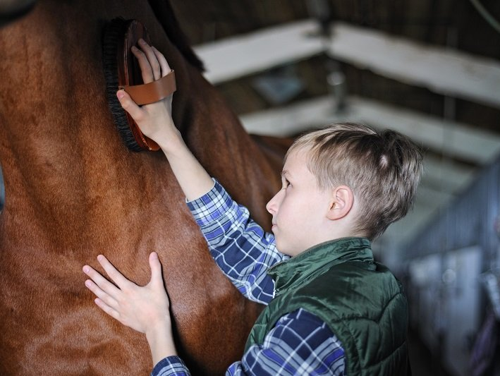 ragazzino striglia cavallo