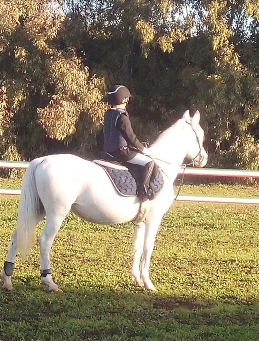 lezione con bambino a cavallo