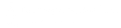 white logo copy