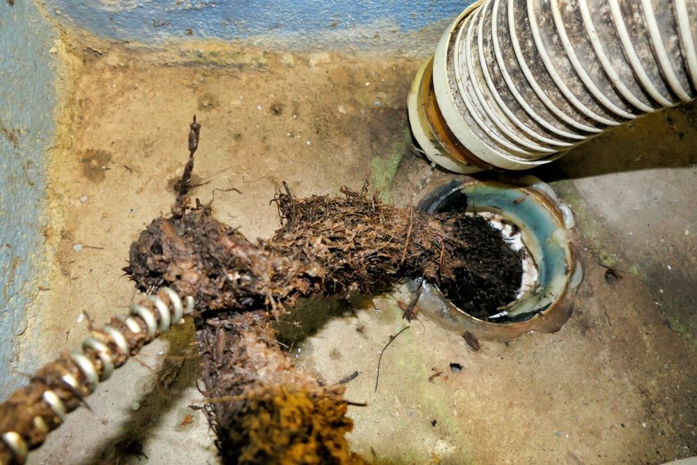 Clogged drain opening with mud and debris around two hoses on a concrete floor