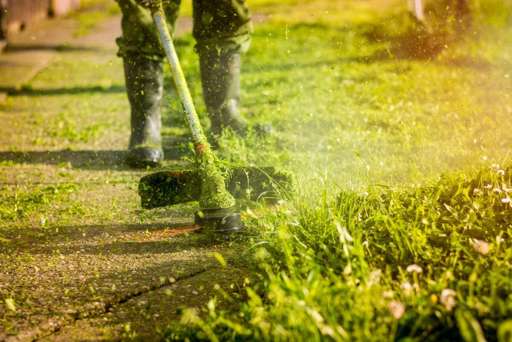 A Man is Cutting Grass With a Lawn Mower — Ken Mills Machinery in Kingaroy, QLD