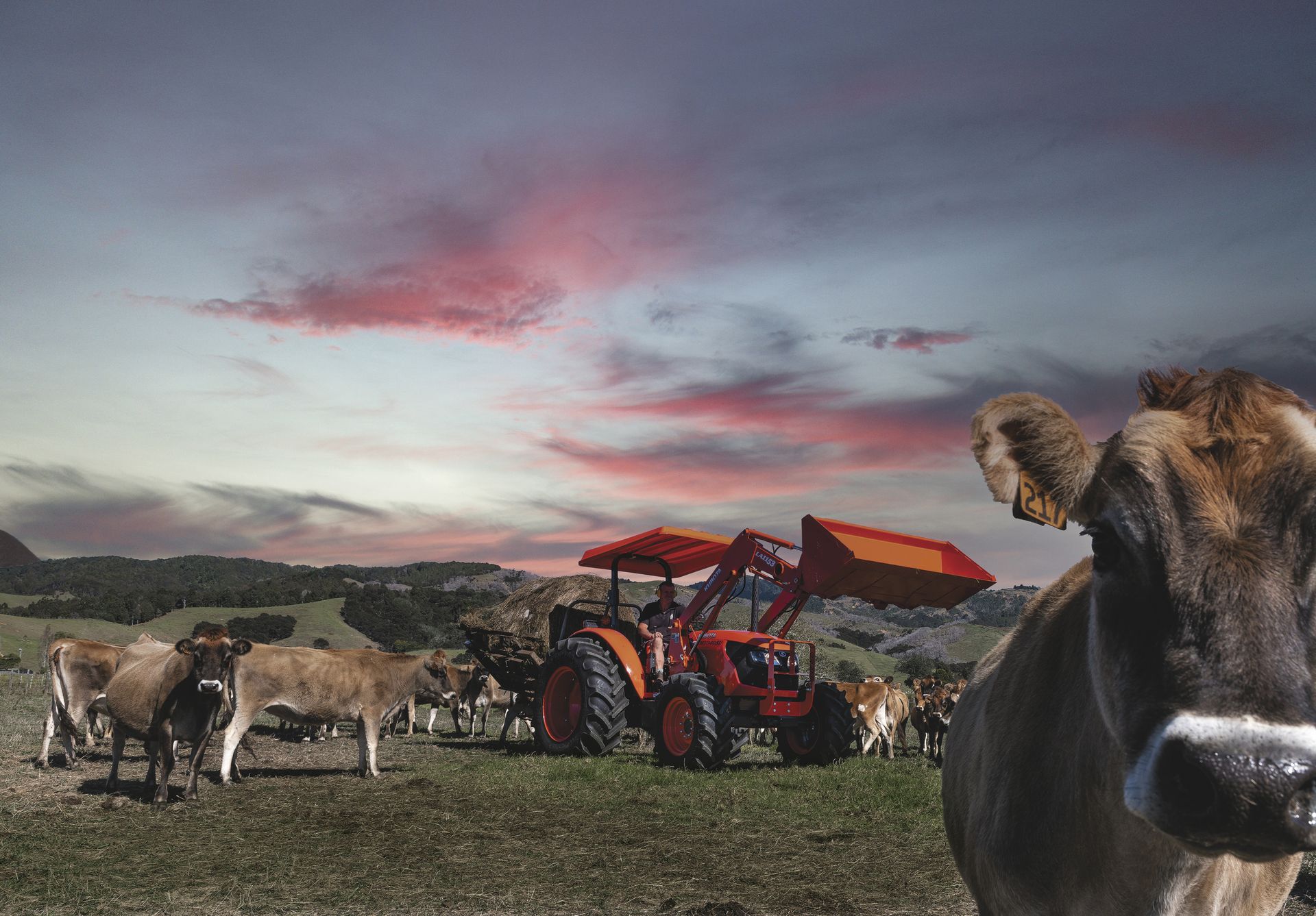 A Red Tractor With a Front Loader is Parked in a Grassy Field — Ken Mills Machinery in Kingaroy, QLD