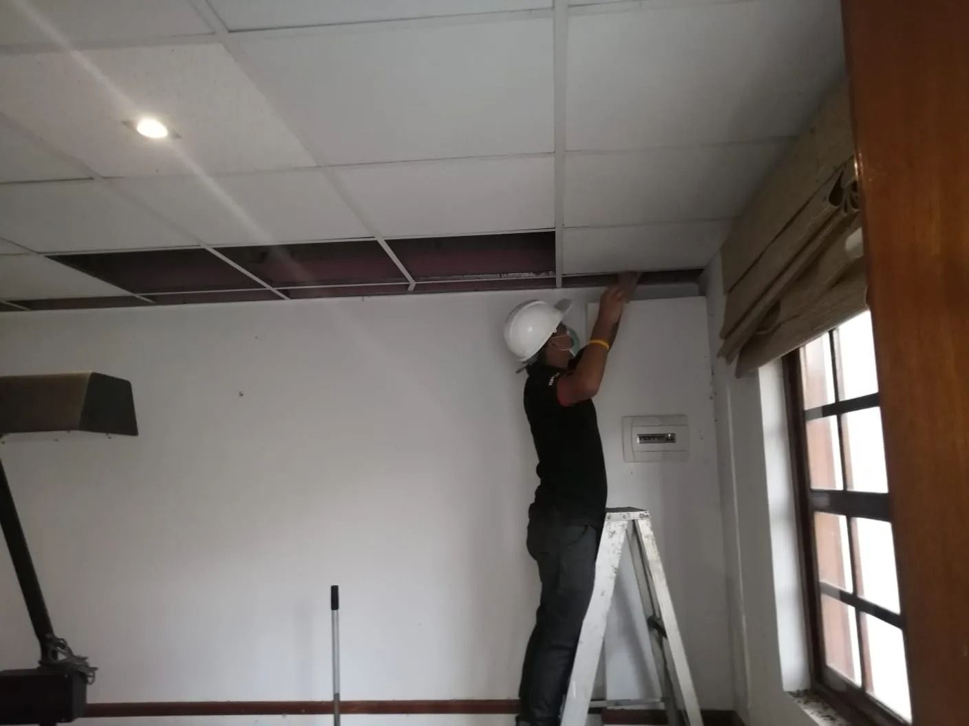 Un trabajador subido a una escalera repara un falso techo en una habitación con paredes y ventanas blancas.
