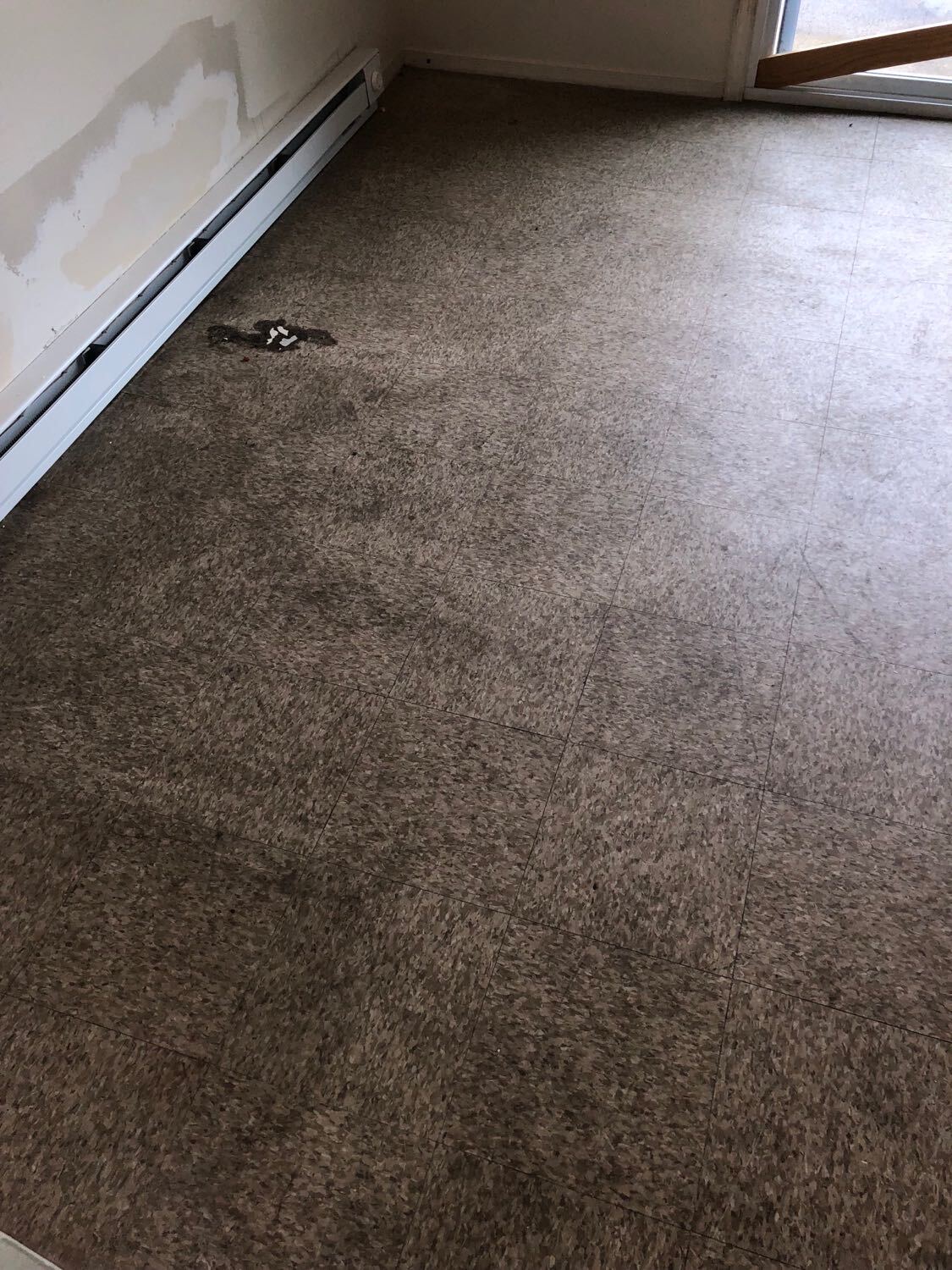 Grimy Vinyl Flooring
