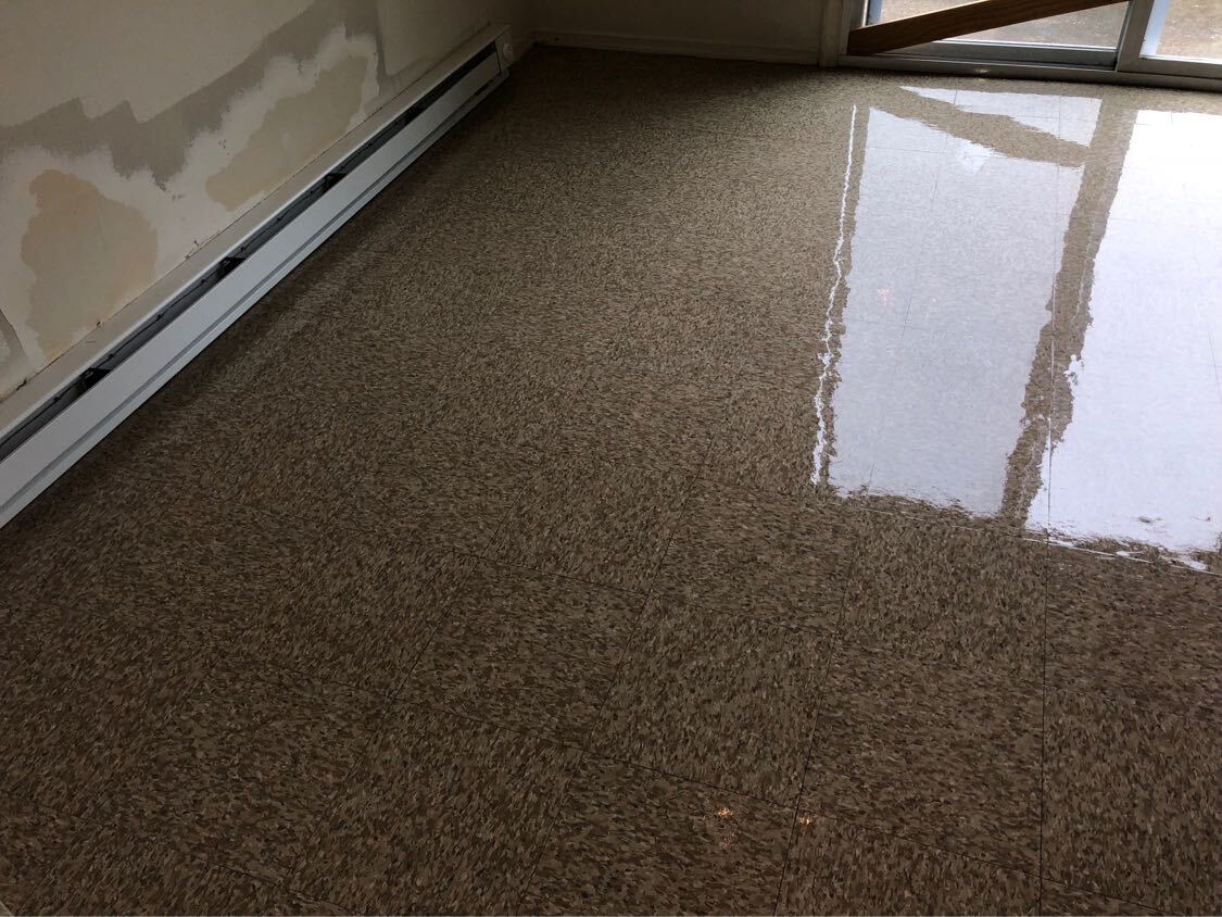 Stripped & Waxed Floor
