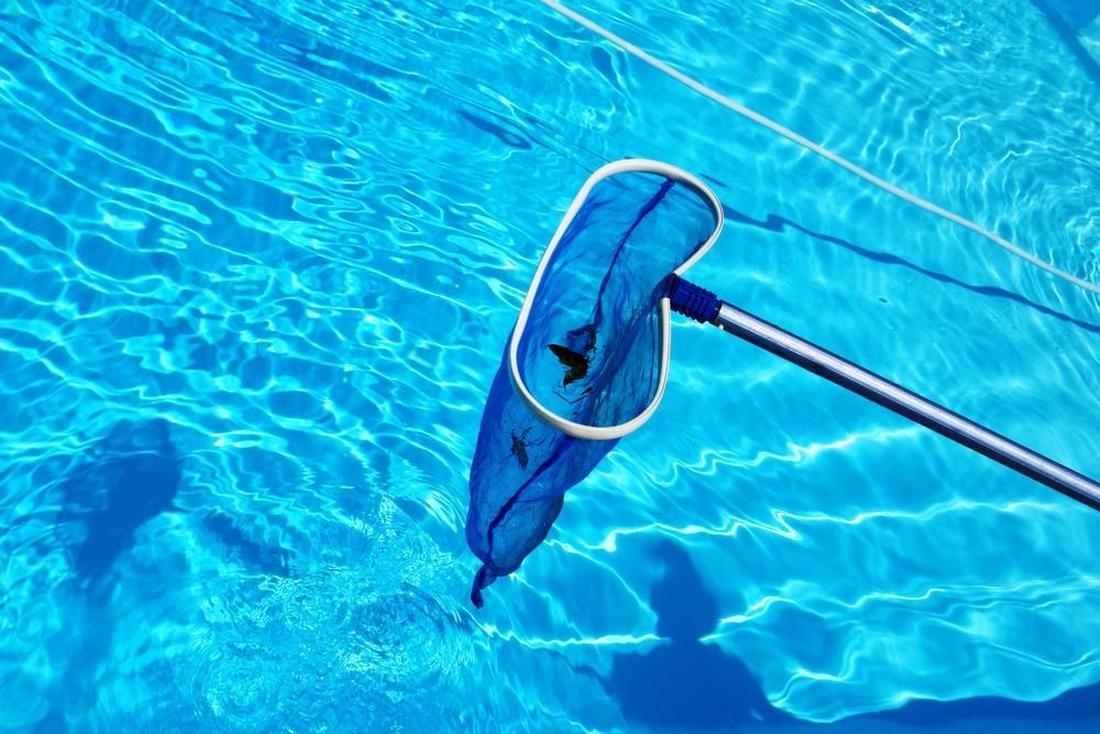 A Blue Net Is Being Used To Clean A Swimming Pool โ All Bright Pool Care In Laurieton, NSW