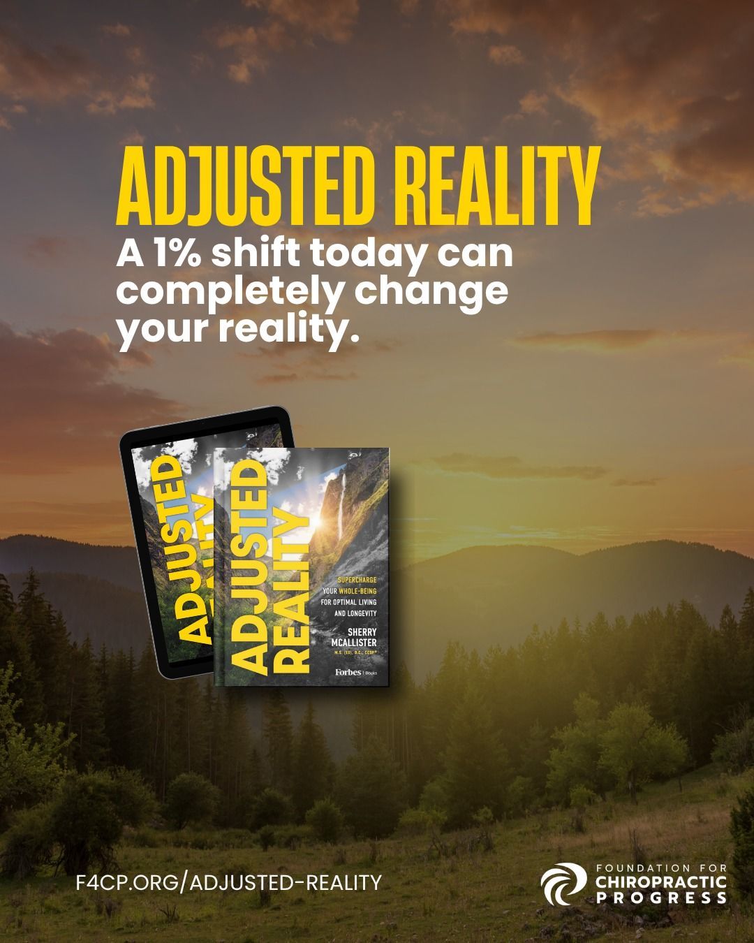 Adjusted Reality, A 1% shift today can completely change your reality.