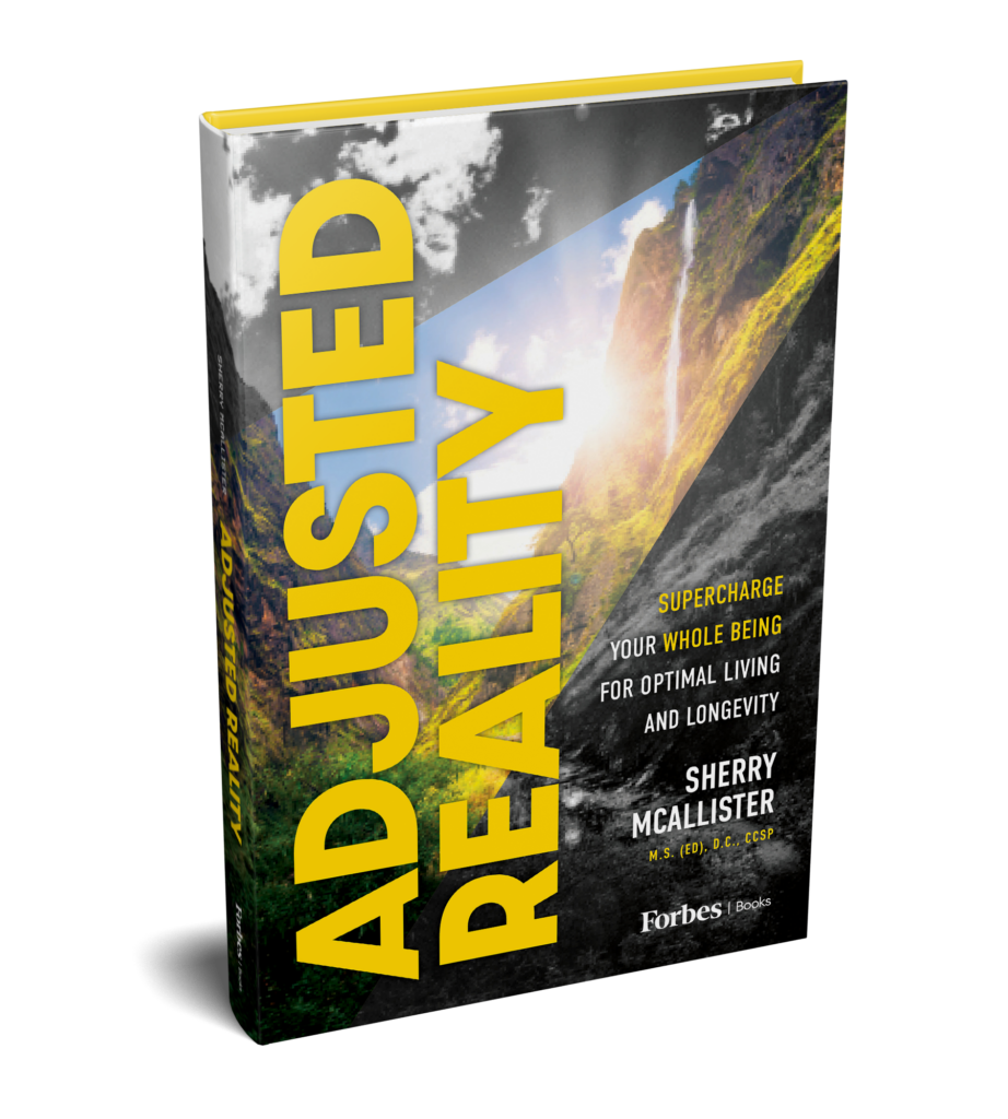 Adjusted Reality Book