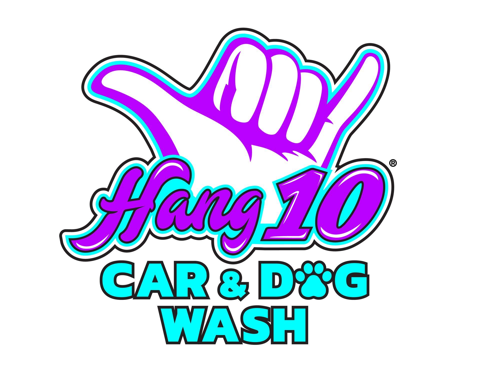 Hang 10 Car and Dog Wash