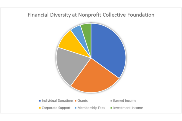 Pie chart showing financial diversity at a nonprofit foundation. Blue, orange, grey, yellow, green, and light blue sections.