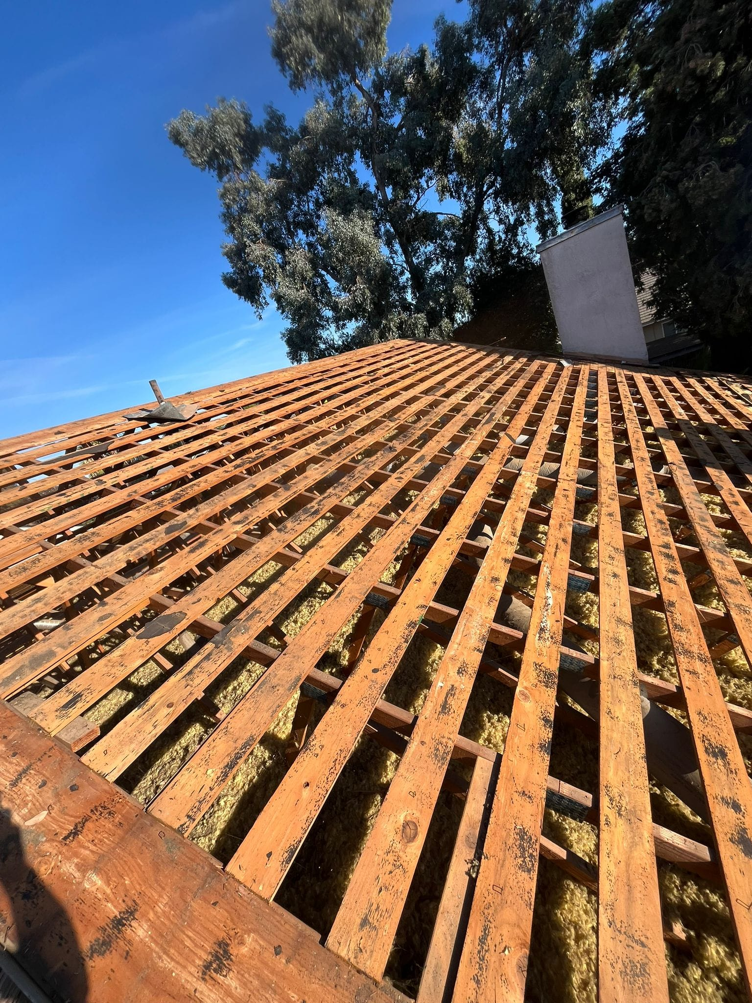 A roof under construction showing exposed wooden rafters and battens against a bright blue sky.