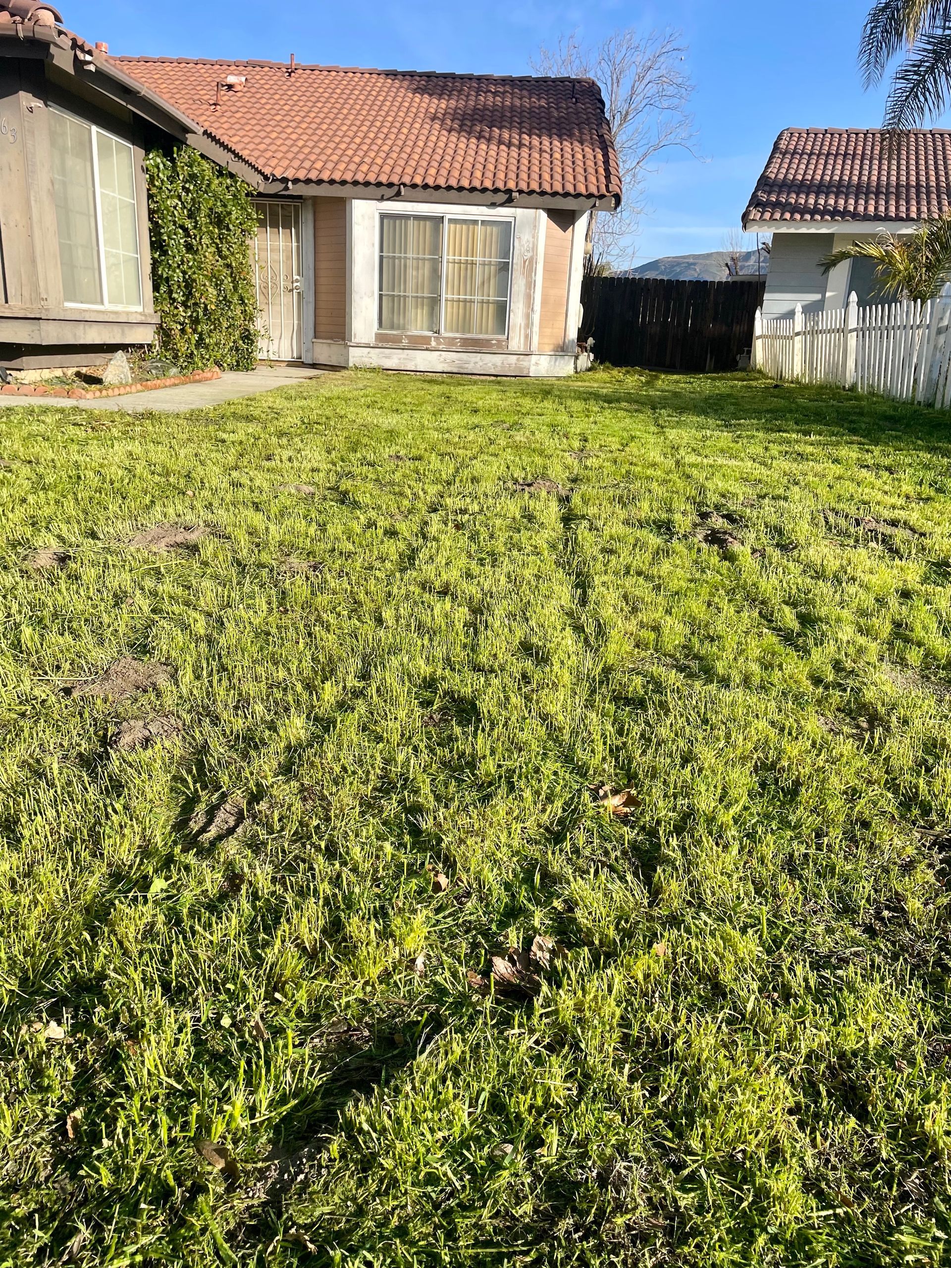 Lawn Mowing, Lawn Care, Grass Cutting, Edging & Trimming, Grass Clipping Cleanup