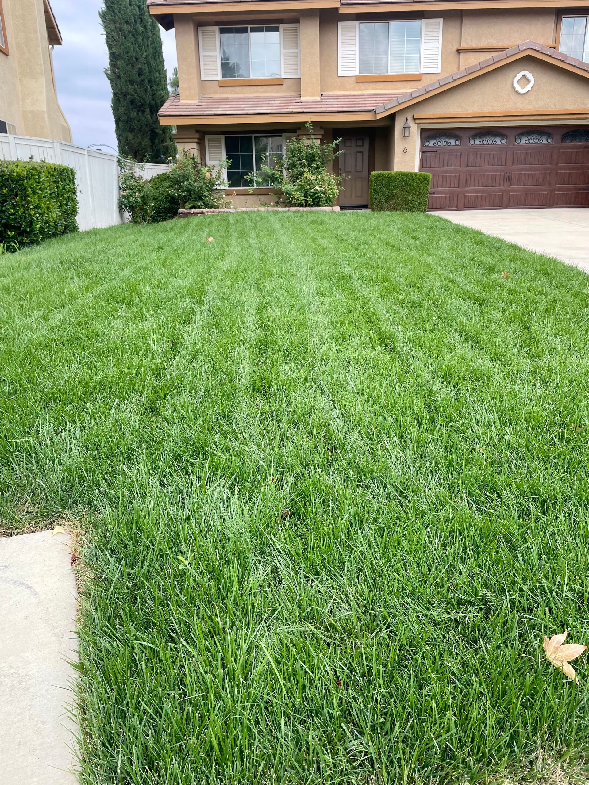 Real Grass Installation, Natural Grass Install, New Lawn Installation, Soil Preparation, Lawn Upgrade