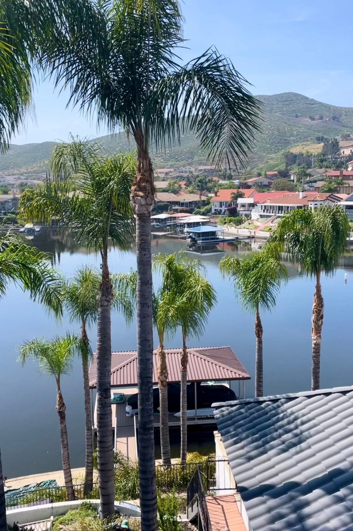 Palm Tree Trimming, Palm Fond Clean Up, Debris Cleanup, Green Waste Hauling