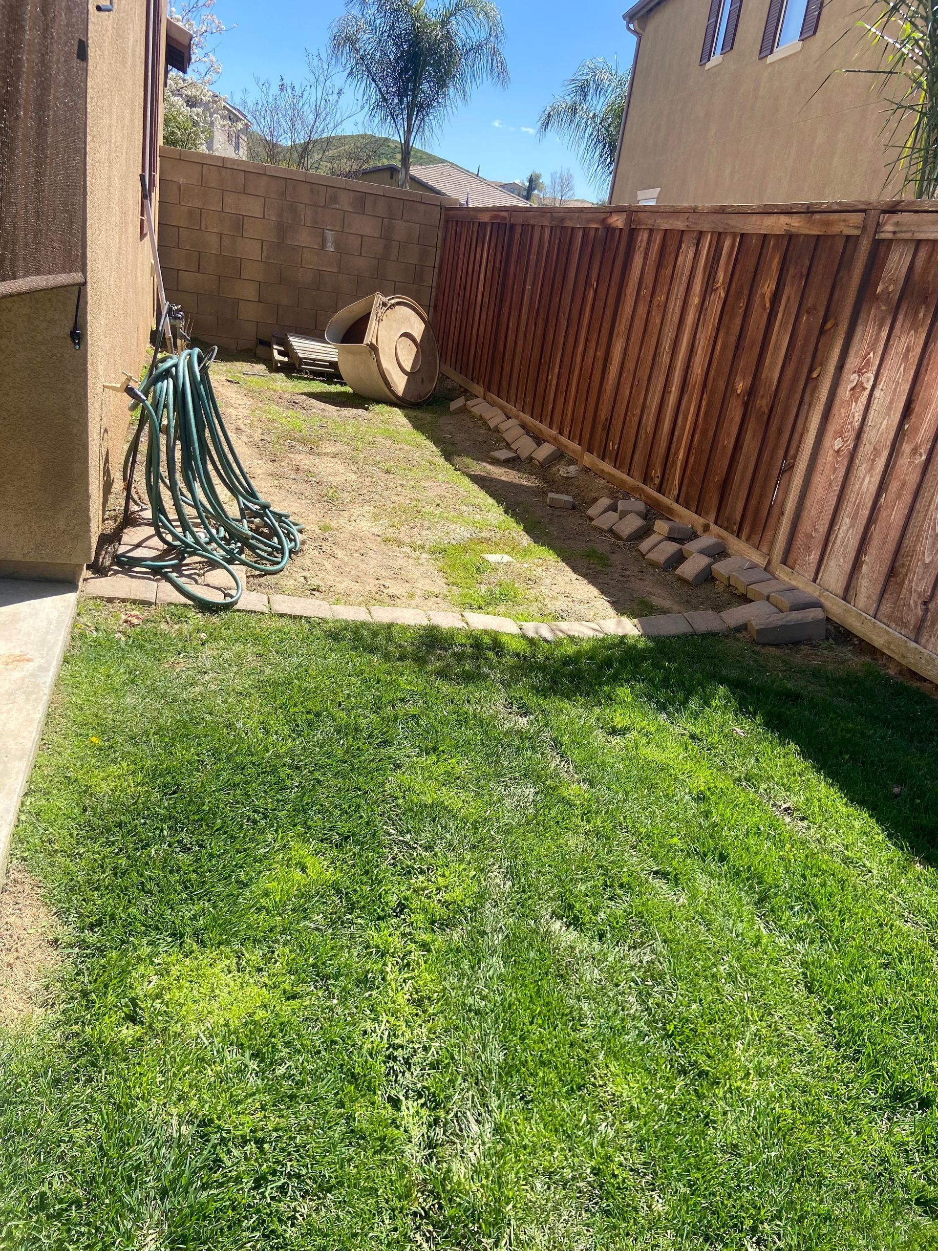 A backyard with a wooden fence and a hose.