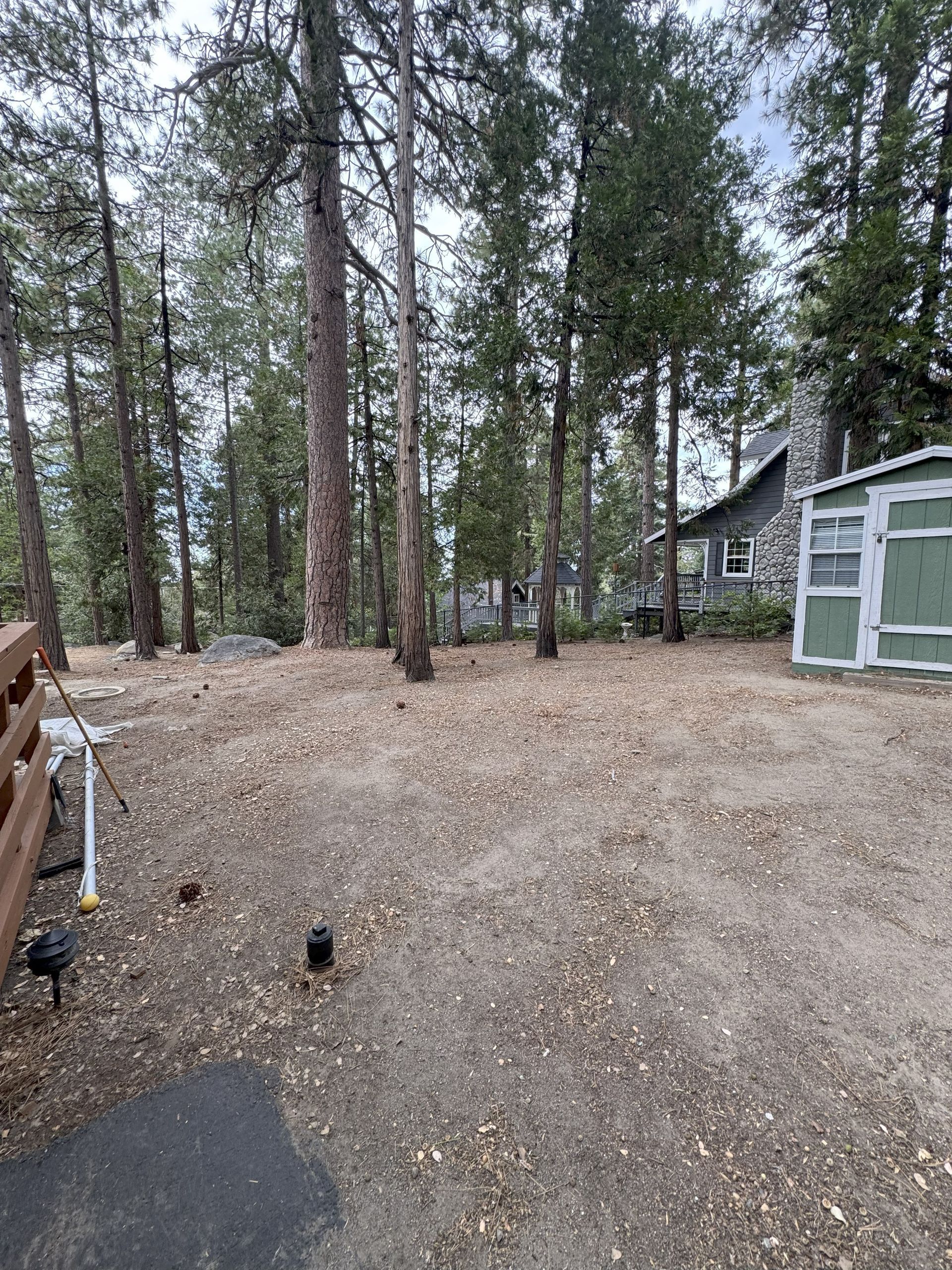 Gravel yard with trees, a building, and a green shed. Cloudy day.