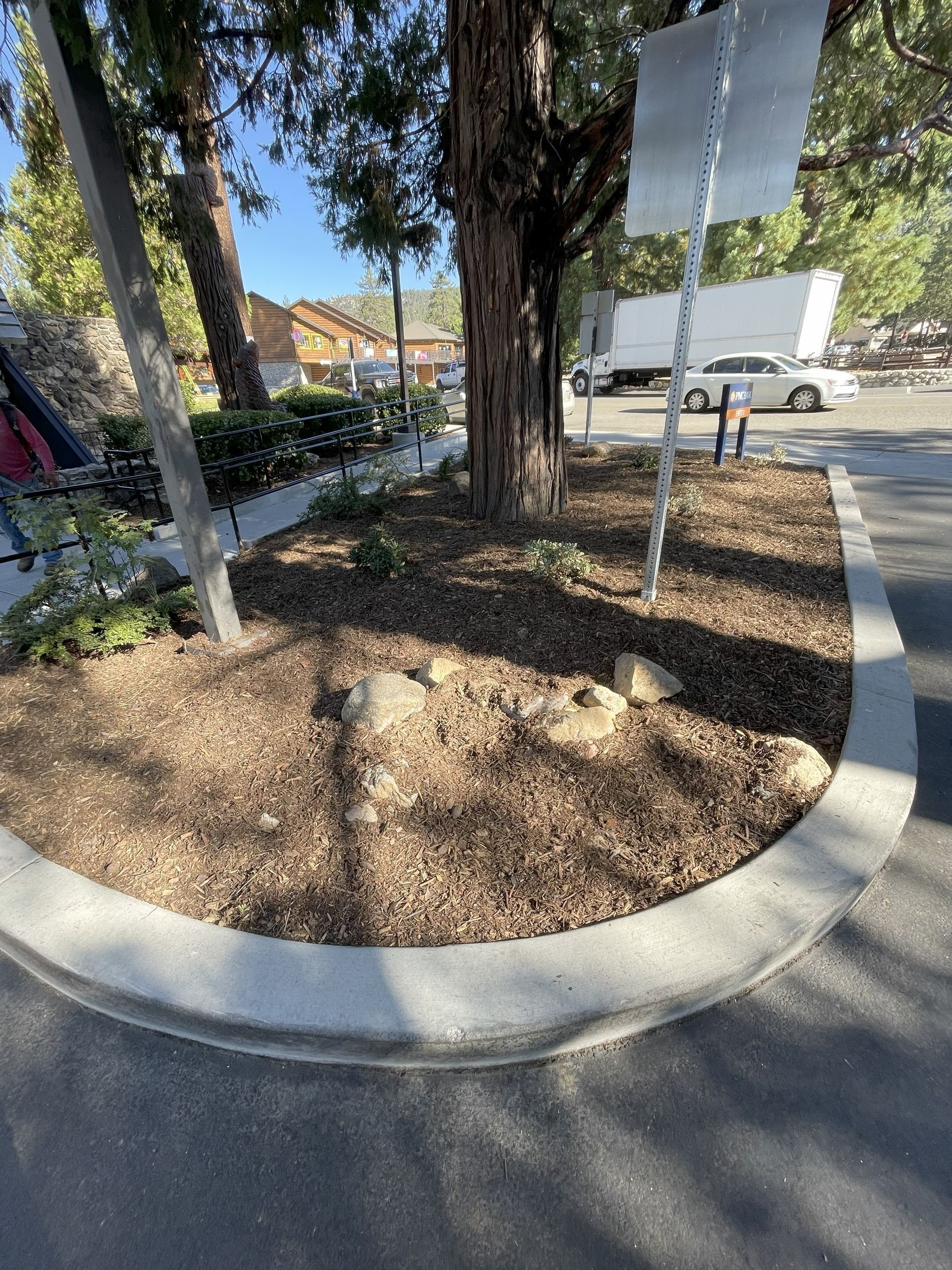 Tree trunk and landscaped area with mulch in a parking lot with a sign and a truck in the background.