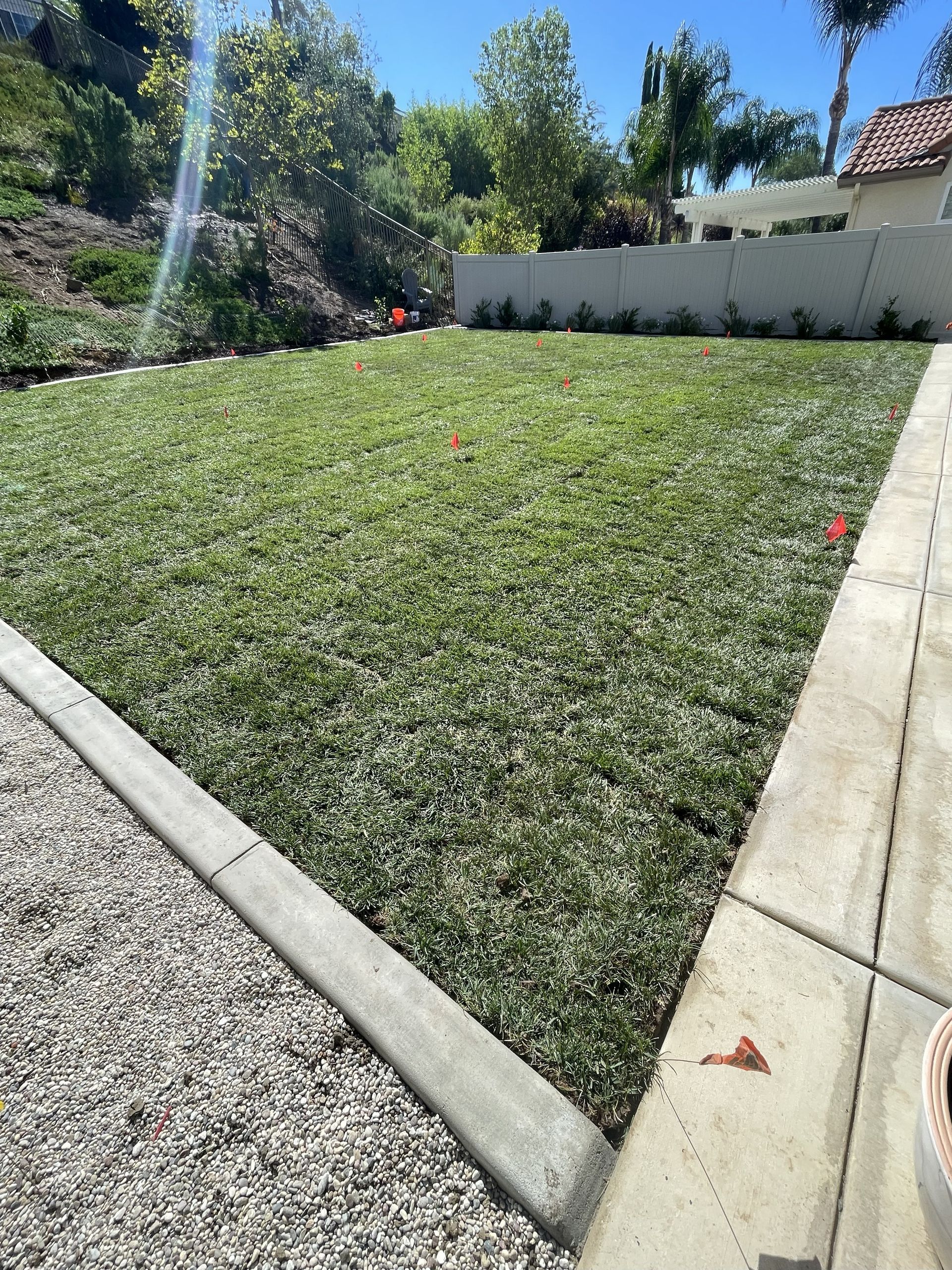 Sod Installation, Decorative Rock Installation, Plant Installation, Concrete Curb Installation, Complete Backyard Renovation