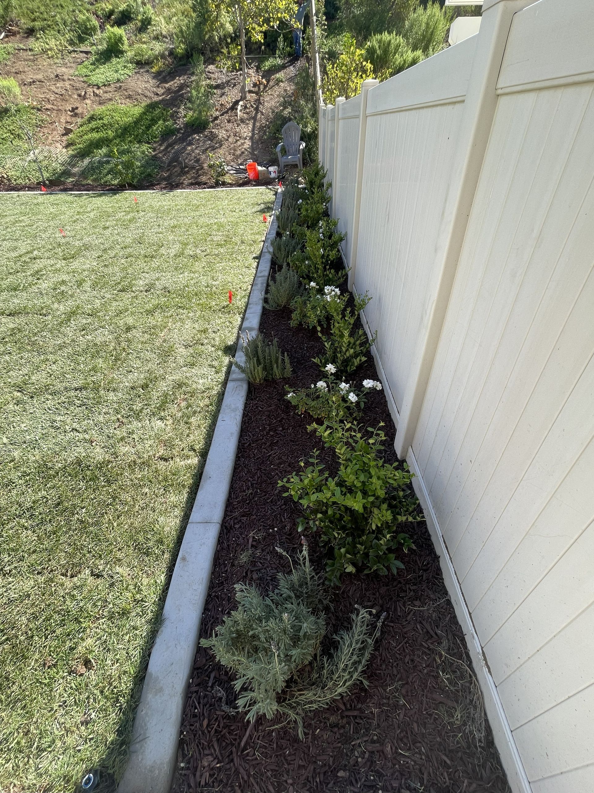 Narrow garden bed with small shrubs along a white vinyl fence beside a grassy lawn.