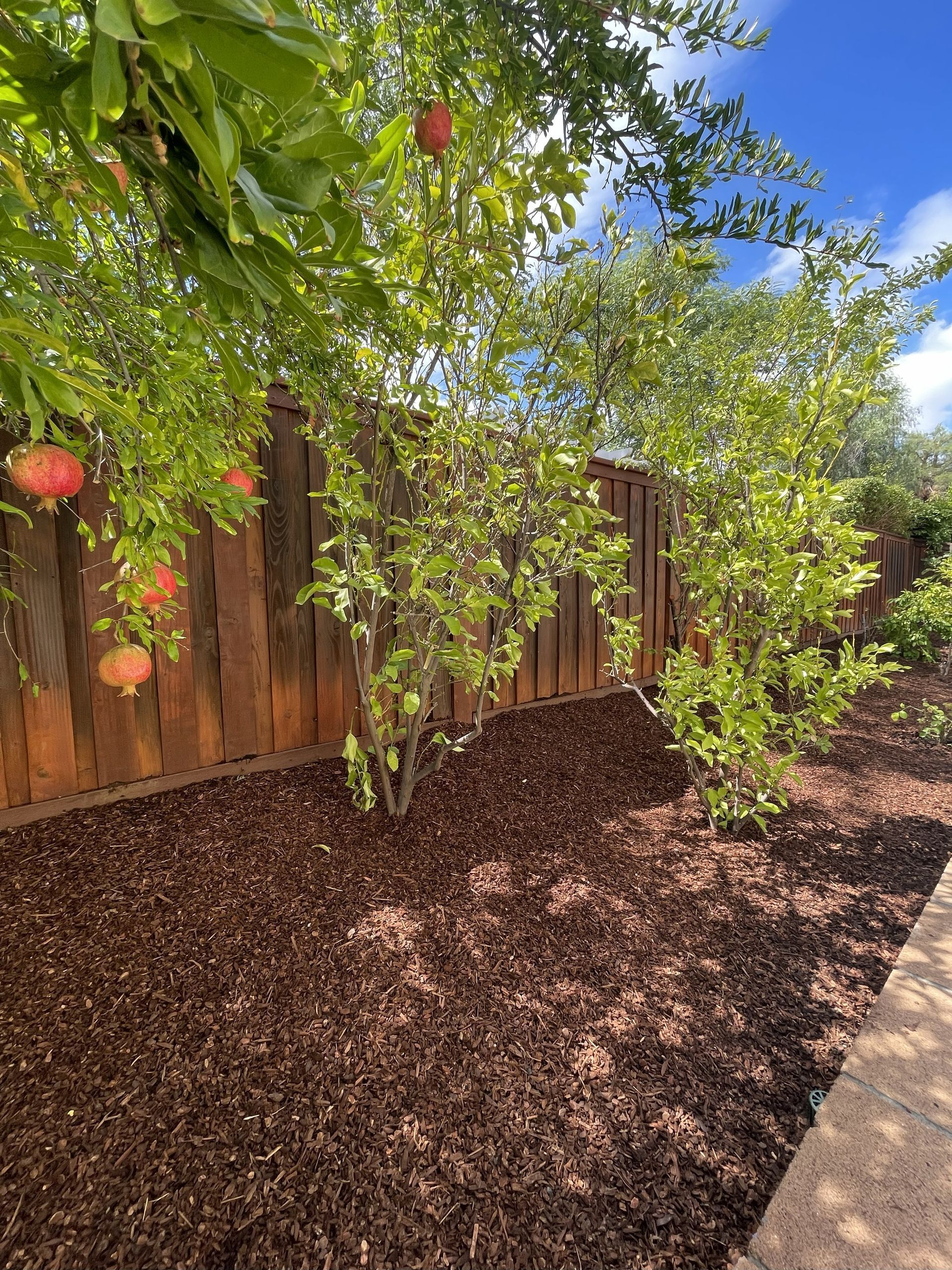 Mini Bark Mulch Installation, Landscape Refresh, Weed Control, Drainage Improvement, Ground Preparation