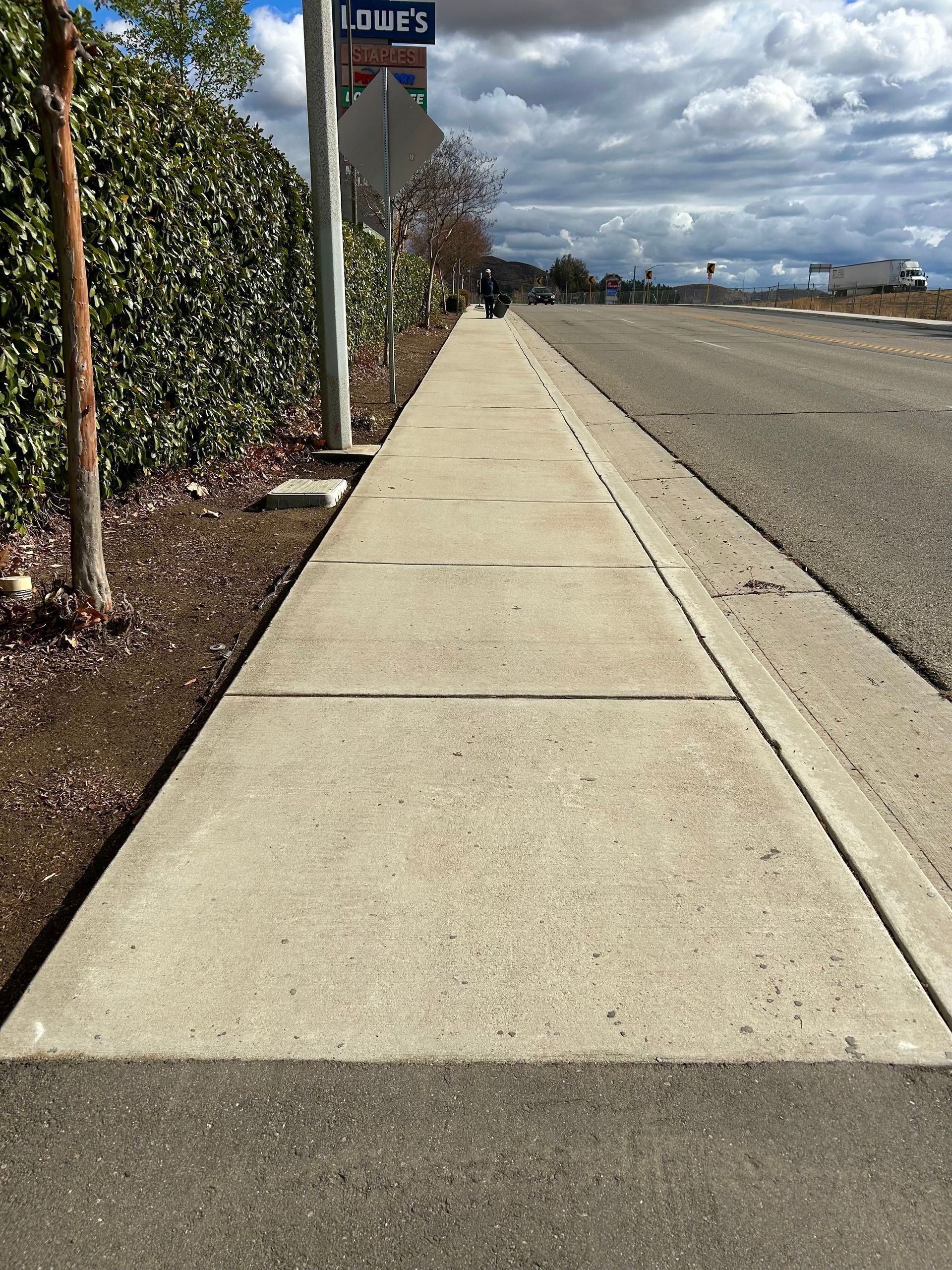 Commercial Property Cleanup, Overgrowth Removal, Plant Trimming, Debris Removal & Hauling