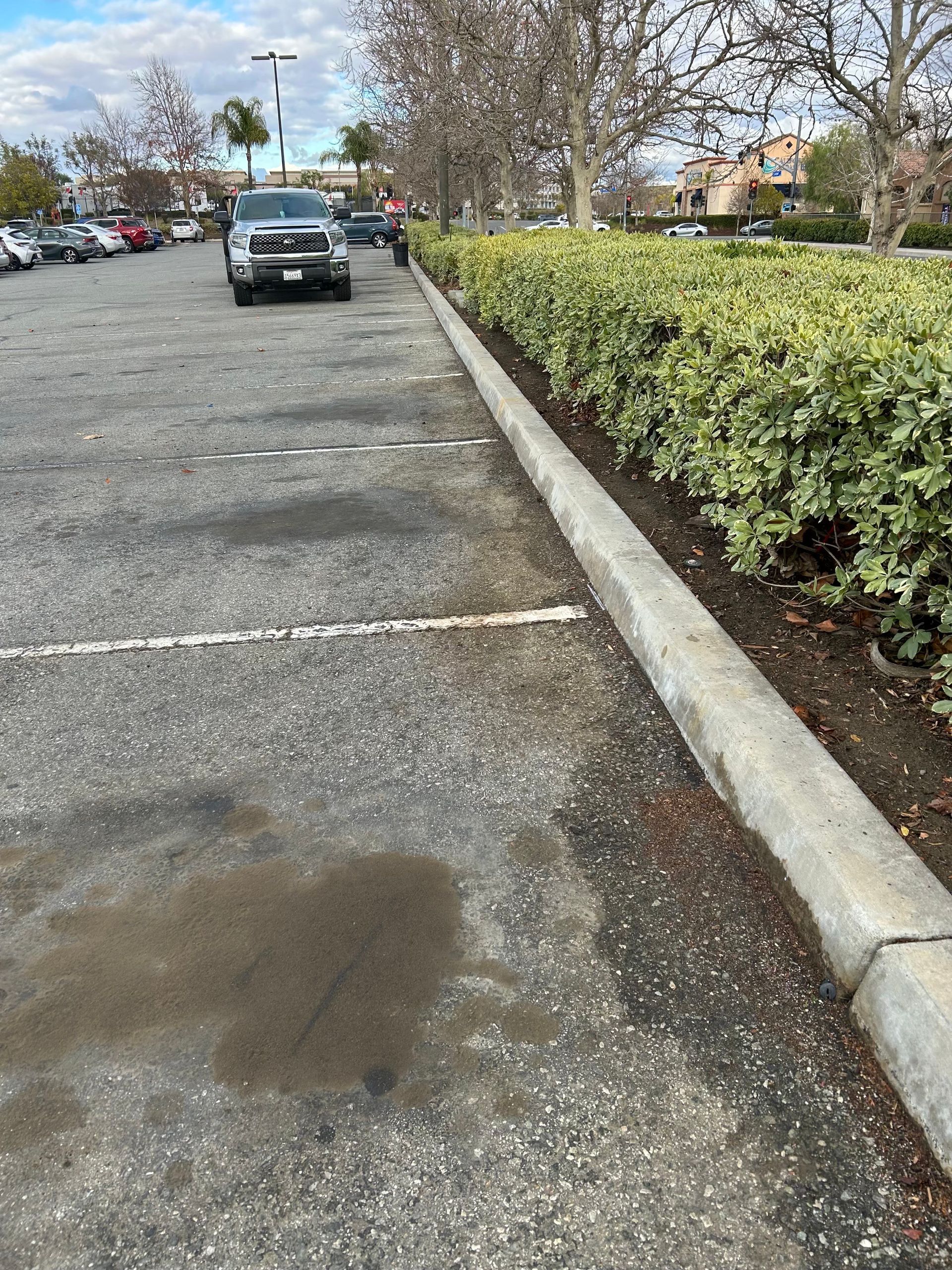 Parking lot with a parked car, hedge-lined curb, and puddled asphalt on a cloudy day