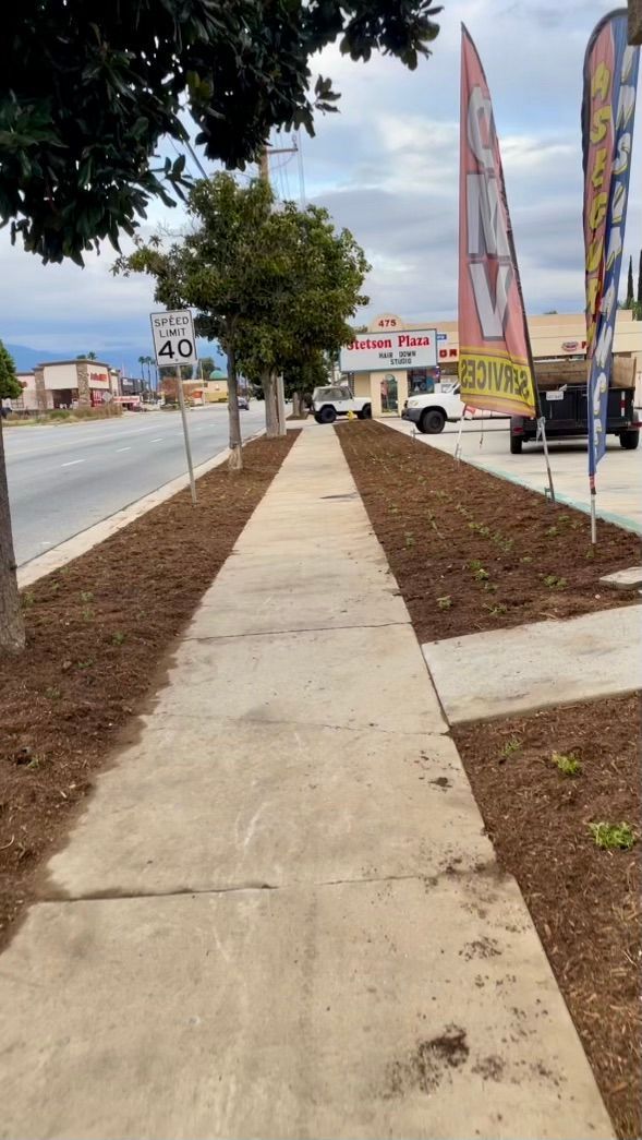 Commercial Landscaping, Commercial Landscape Maintenance, Business Property Upkeep, Trimming & Cleanup, Lawn Health Care