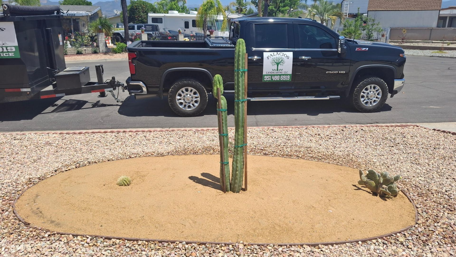A black truck is parked next to a cactus in a gravel area.
