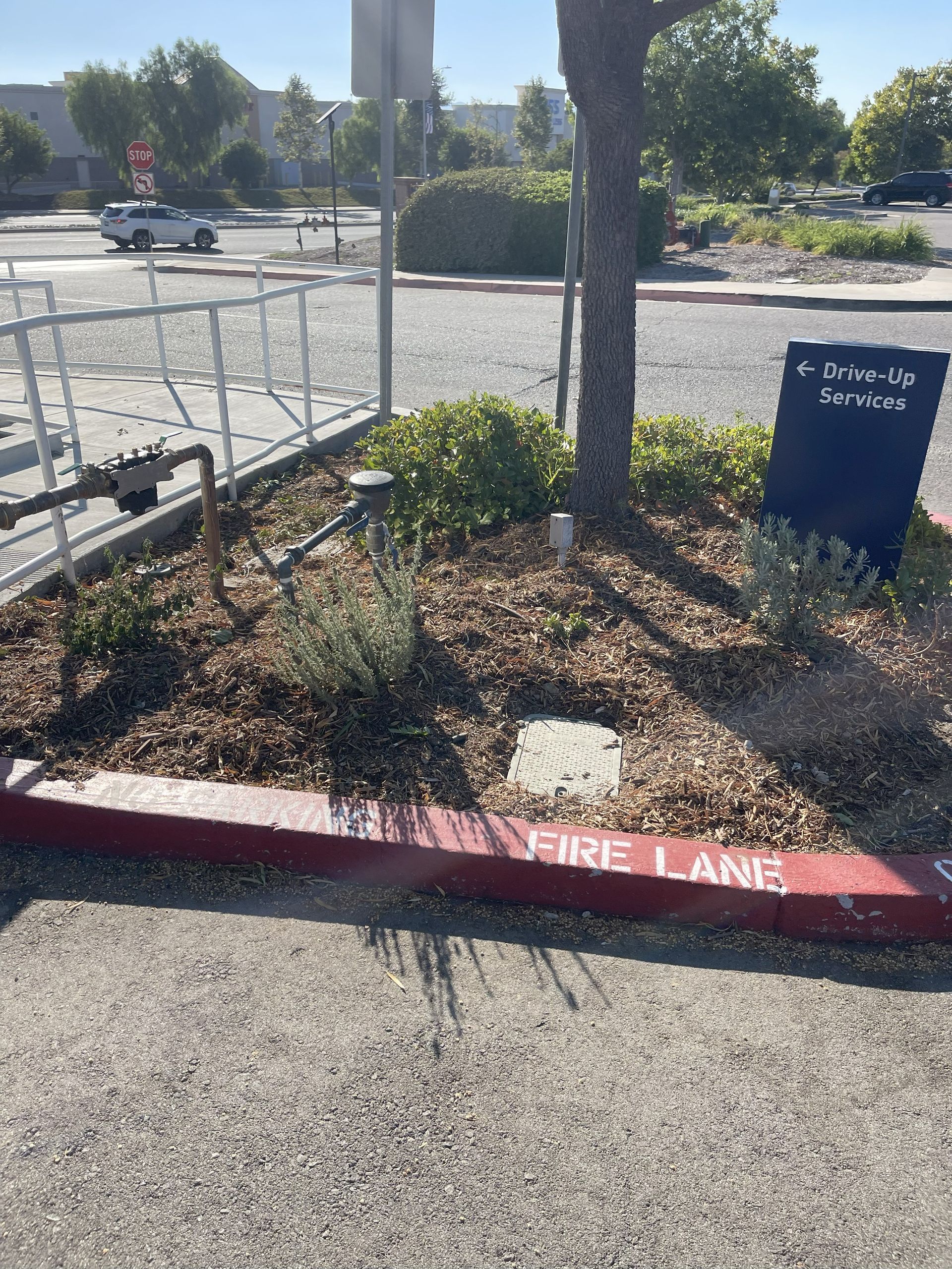 Fire lane at curb, with tree and small bushes. "Fire Lane" painted red. Blue sign. Sunny day.