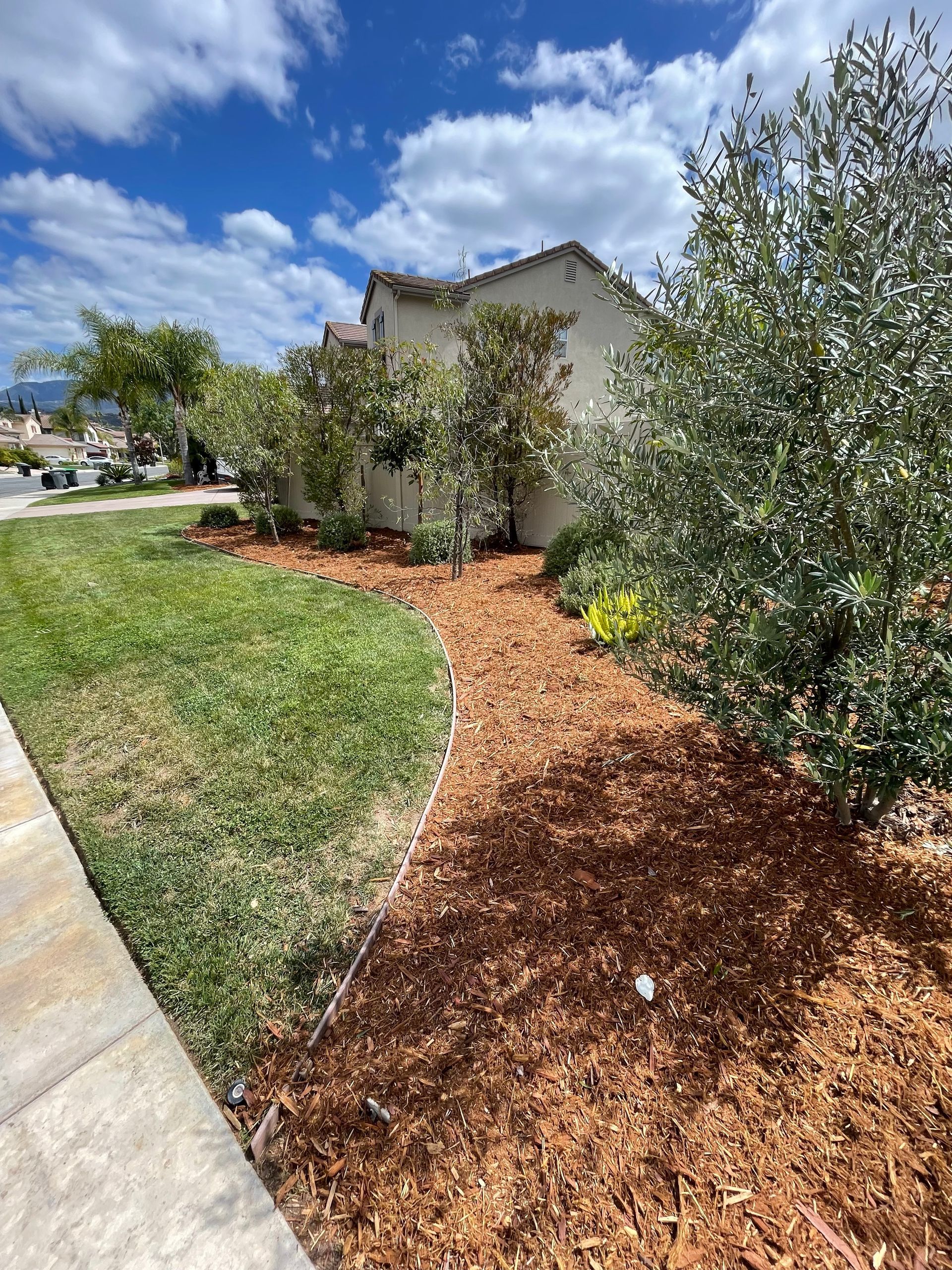 Curved mulch path beside a lawn and sidewalk, with shrubs and a house under a blue sky with clouds