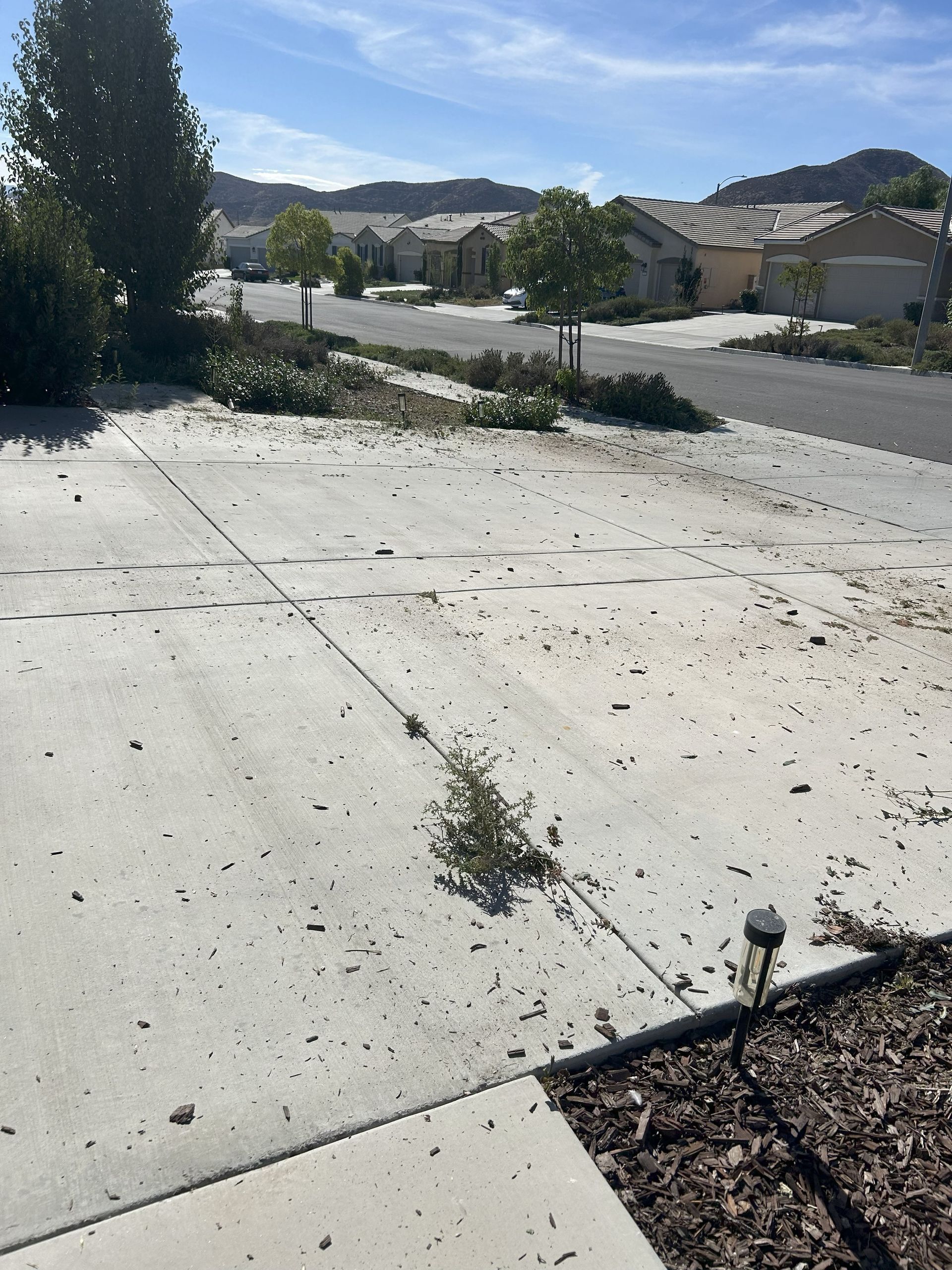 Concrete driveway with debris and small evergreen tree. Houses and hills in the background.