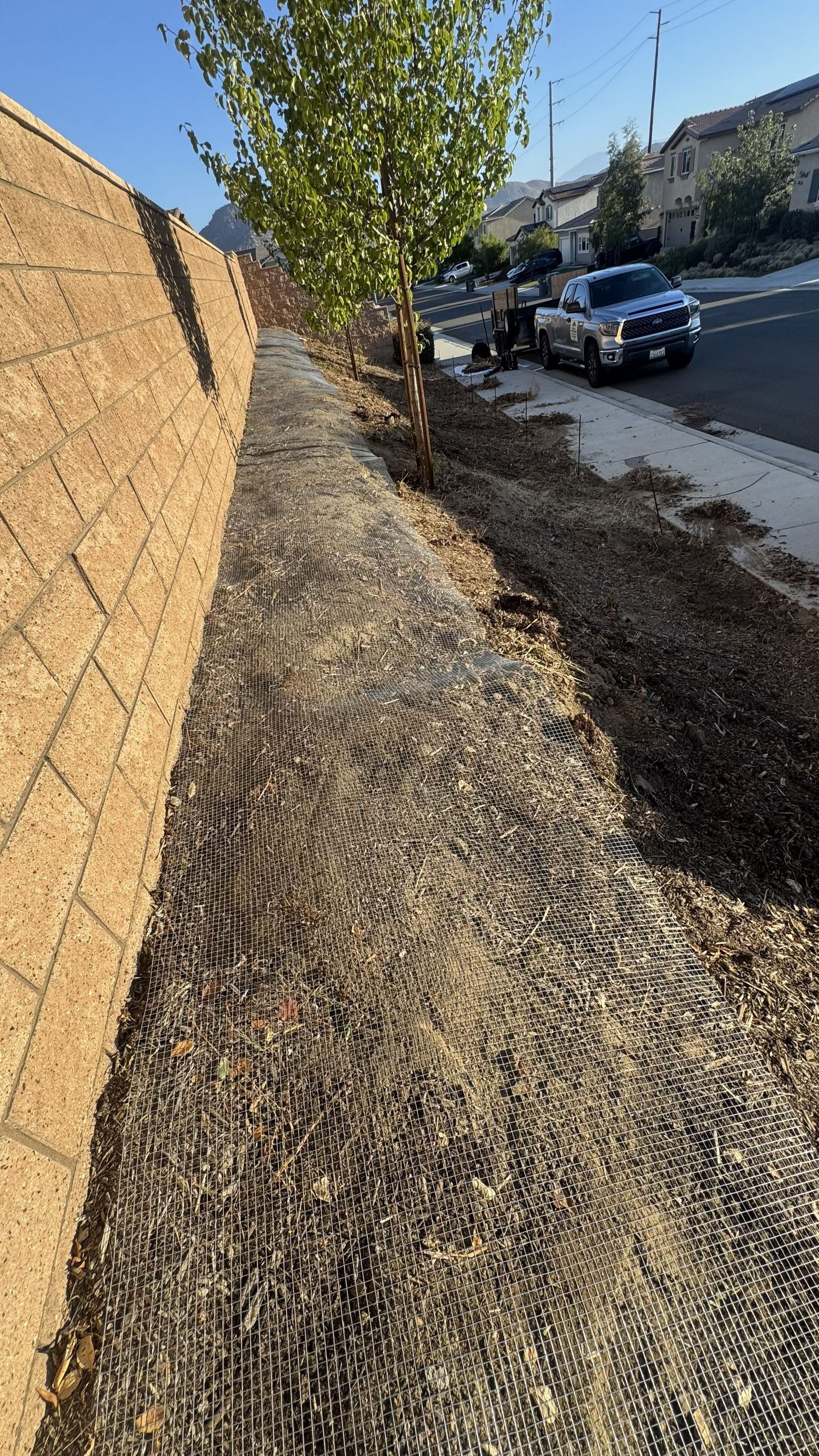 Gopher wire laid across a cleared slope beside a tan block wall, with a young staked tree and a work truck parked on the street.