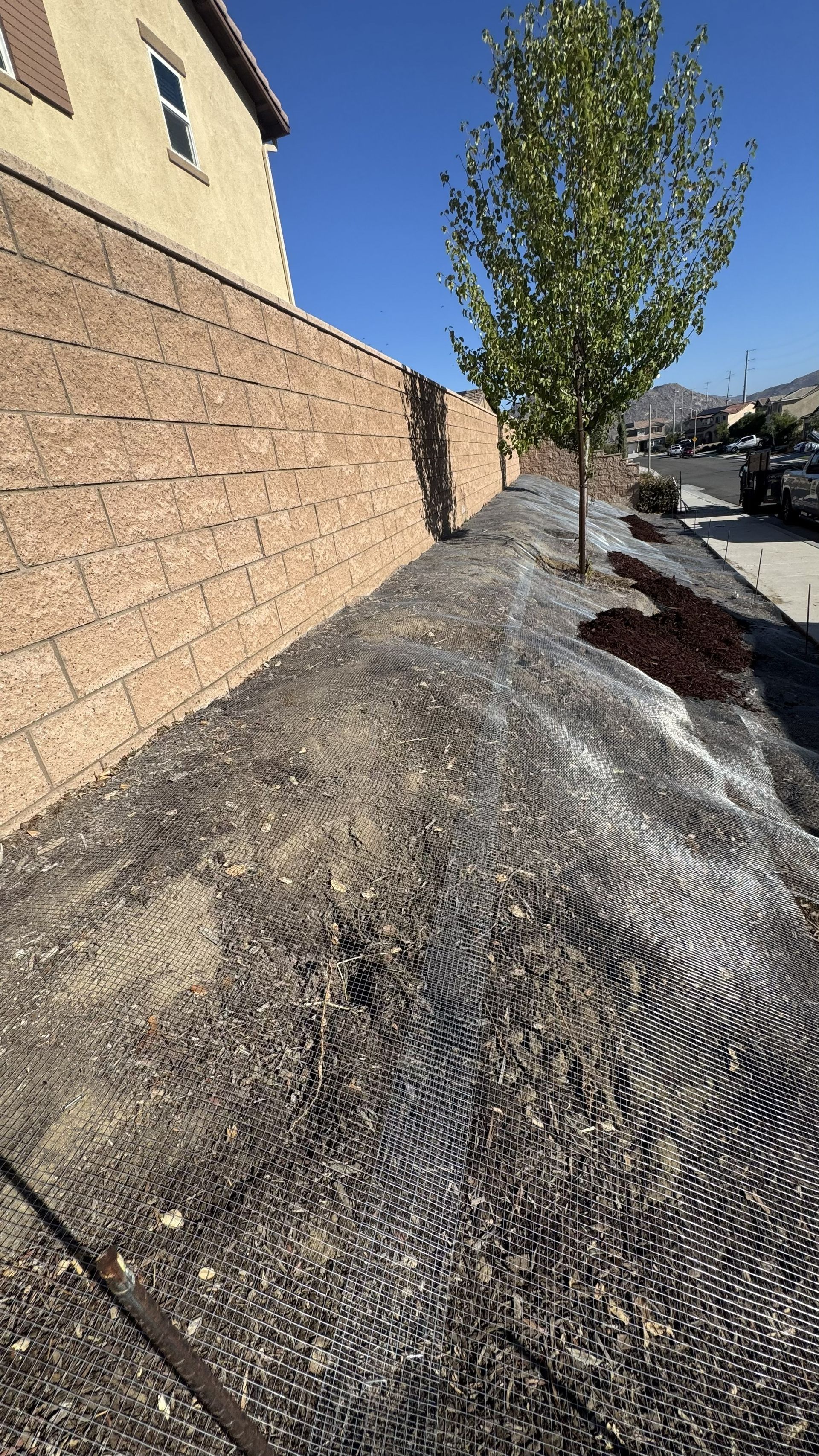 Gopher wire covering a slope along a block wall next to a house, with a young tree and the sidewalk and street beyond.