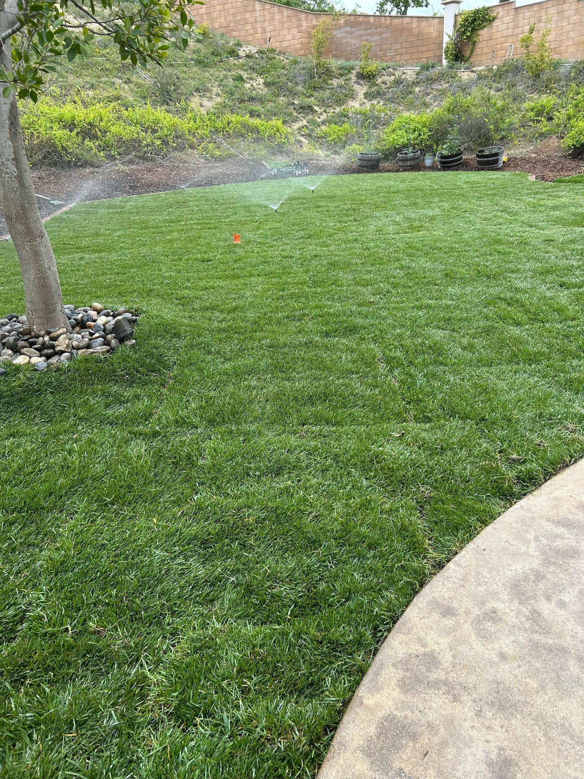 Grass Installation, Sod Installation, Sprinkler System Installation, Irrigation Install, Ground Preparation