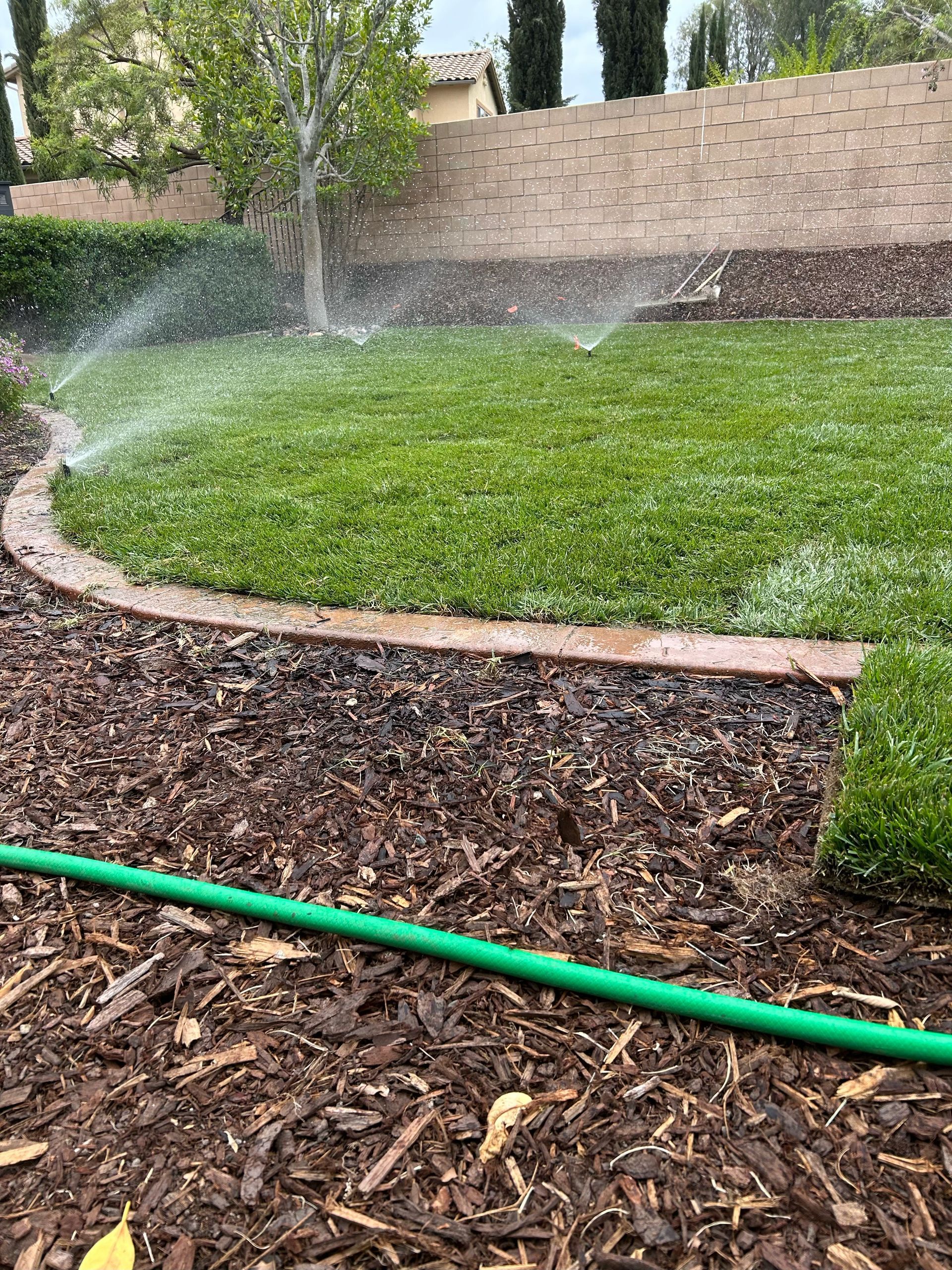 Lush green lawn being watered by sprinklers beside a mulch bed and stone border in a backyard.