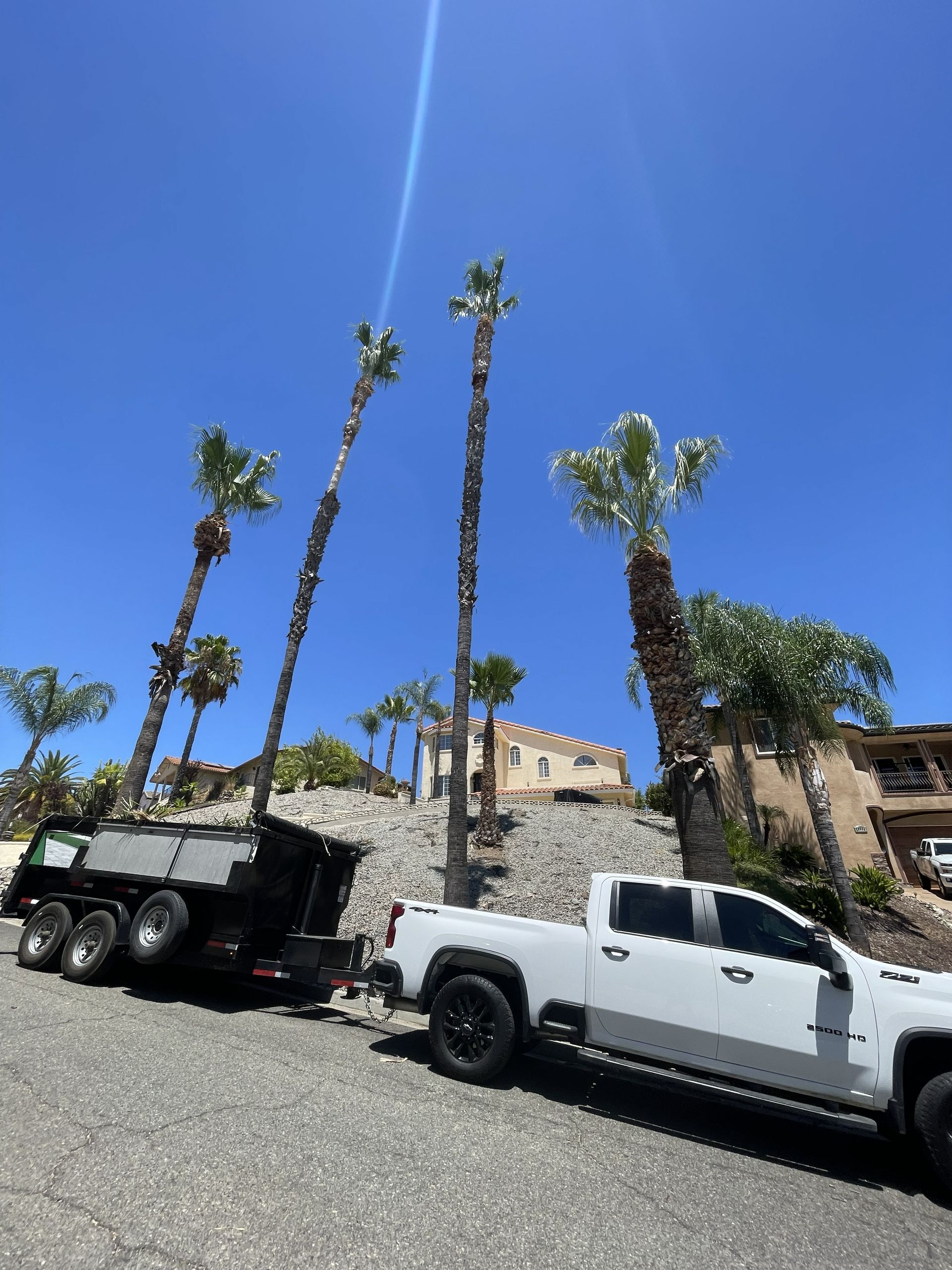White pickup truck and trailer parked on a sloped street beneath tall palm trees and blue sky.