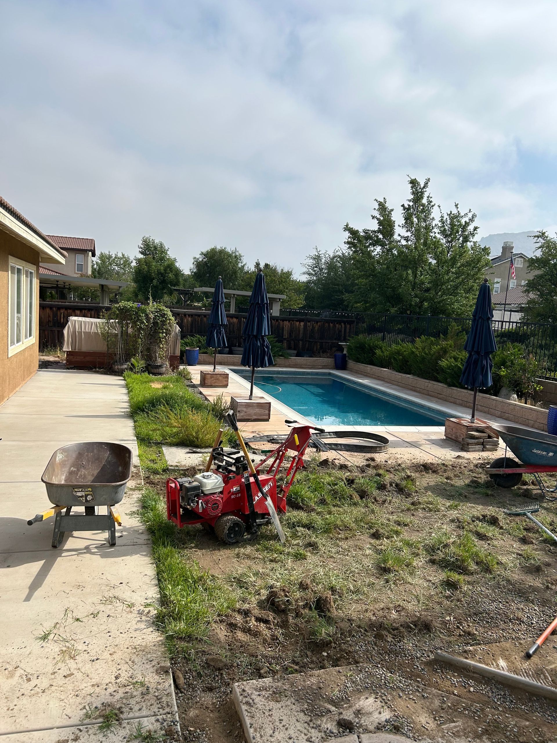 Backyard with grass and weeds being removed, tools and a pool in view