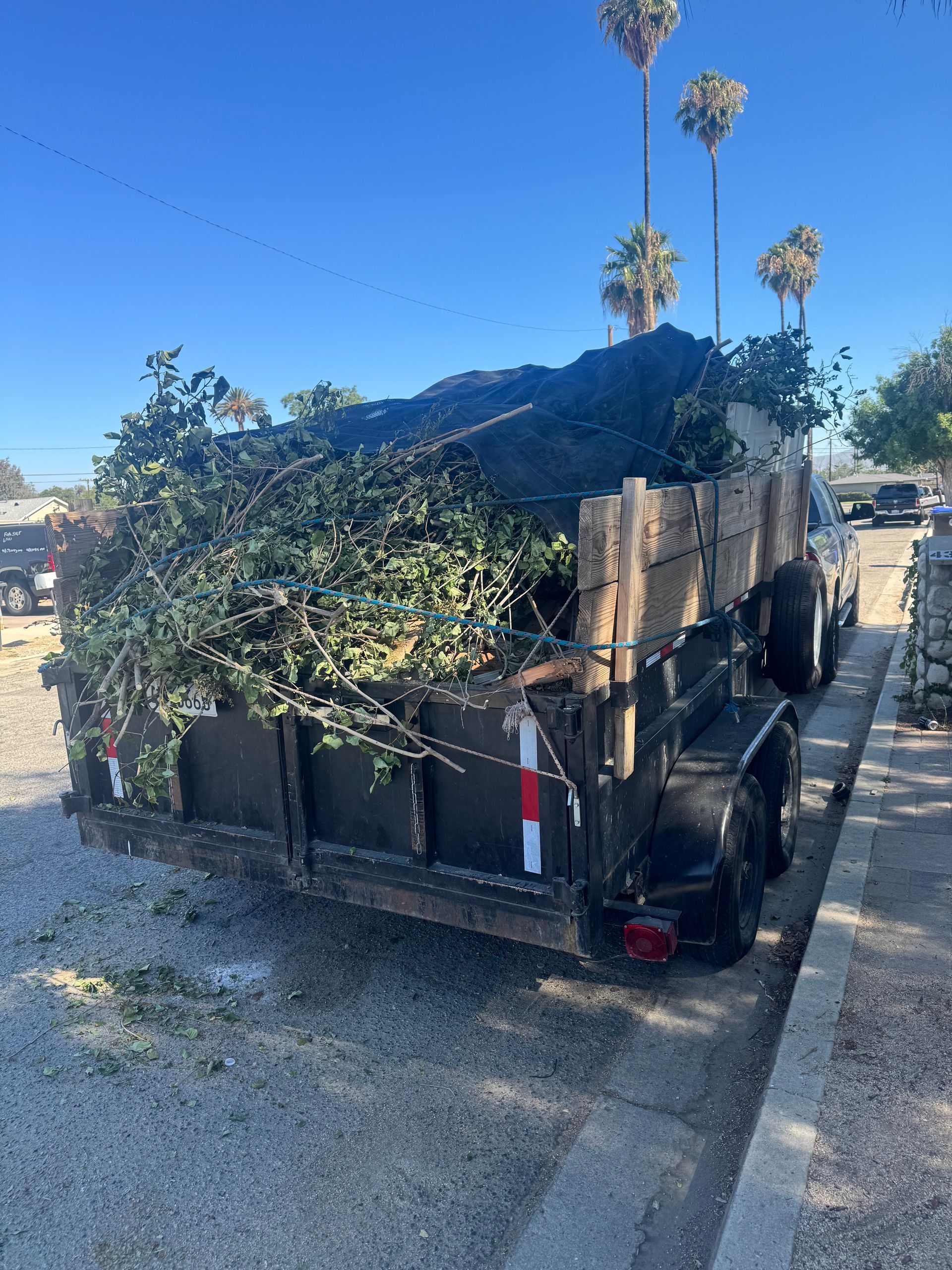 Landscaping Debris Removal, Junk Removal, Yard Waste Removal, Hauling & Disposal
