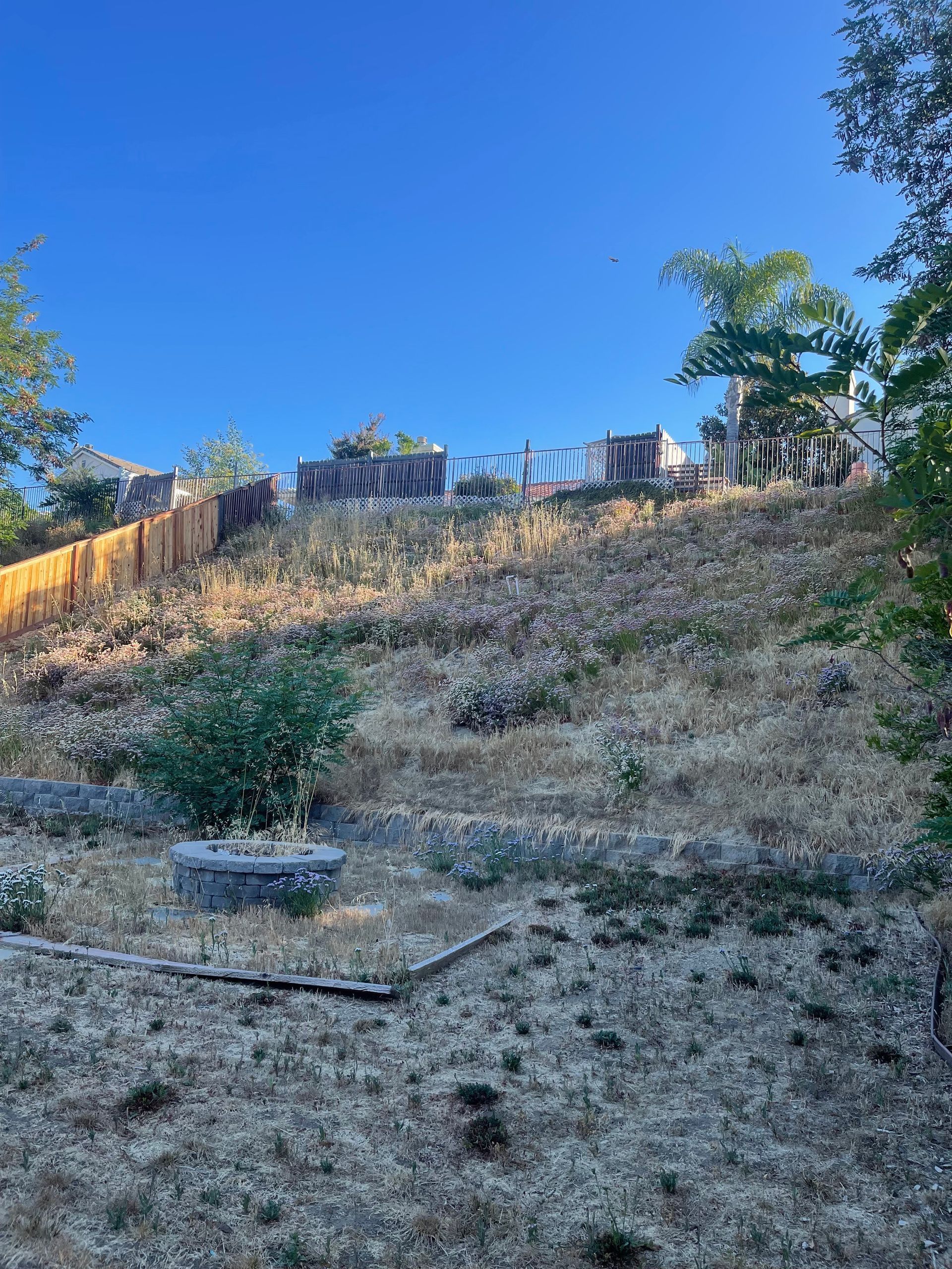 A dry grassy hillside with a house in the background.