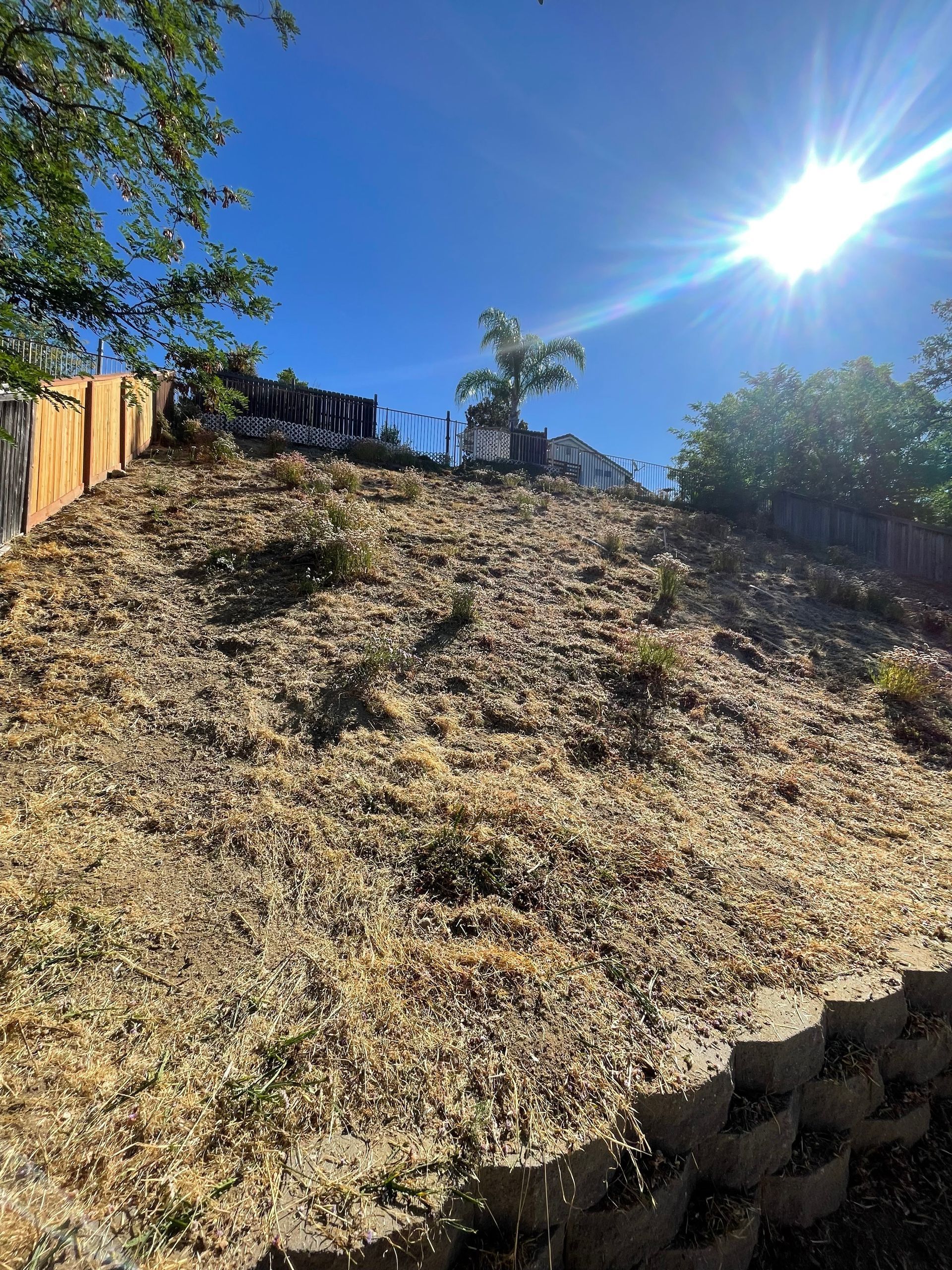 Hillside Clearing, Vegetation Removal, Brush Clearing, Weed Abatement, Fire Hazard Reduction, Debris Hauling