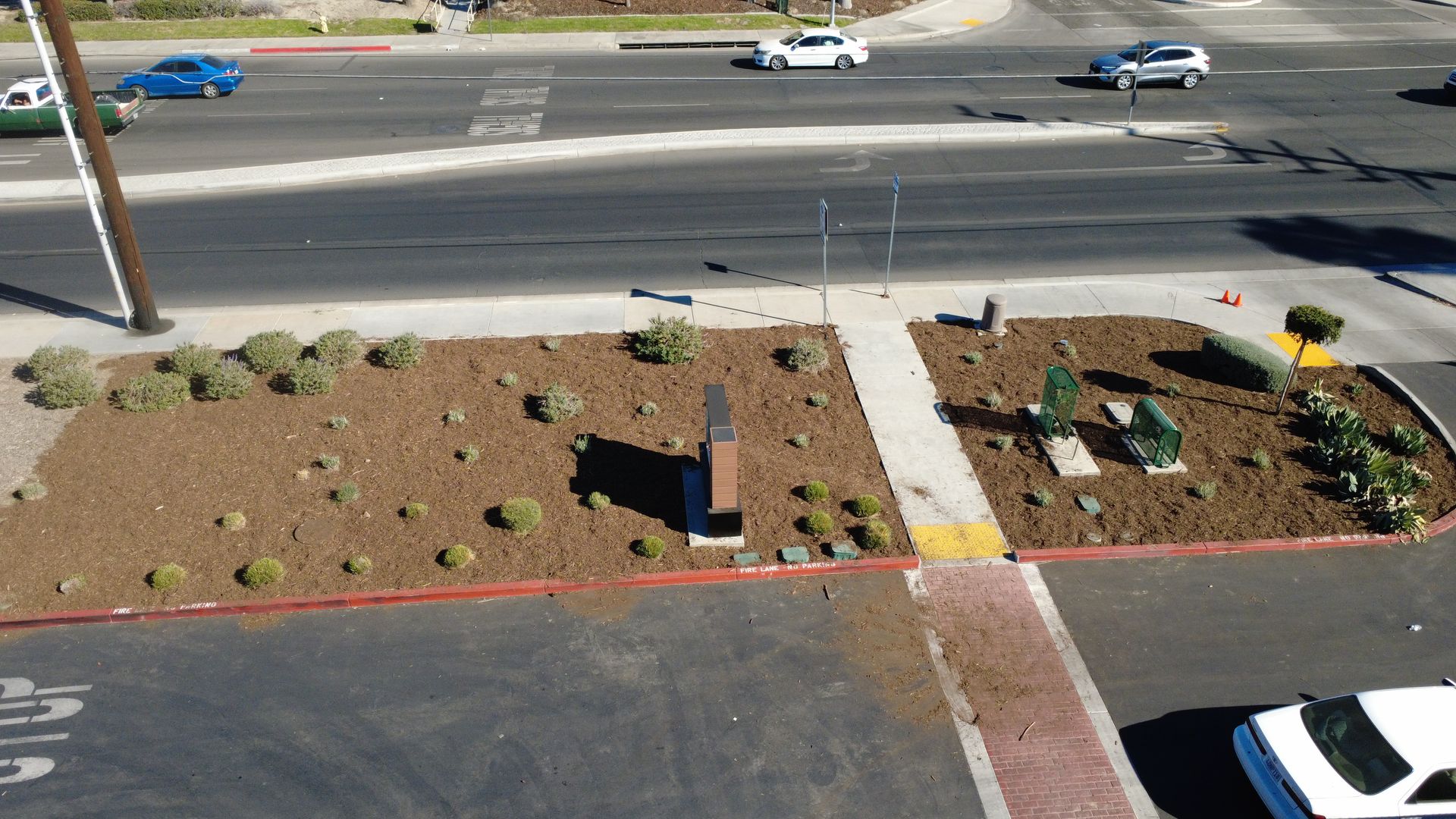 Plant Installation, Forest Mulch Installation, Commercial Landscape Refresh, Landscape Planting, Curb Appeal Improvement