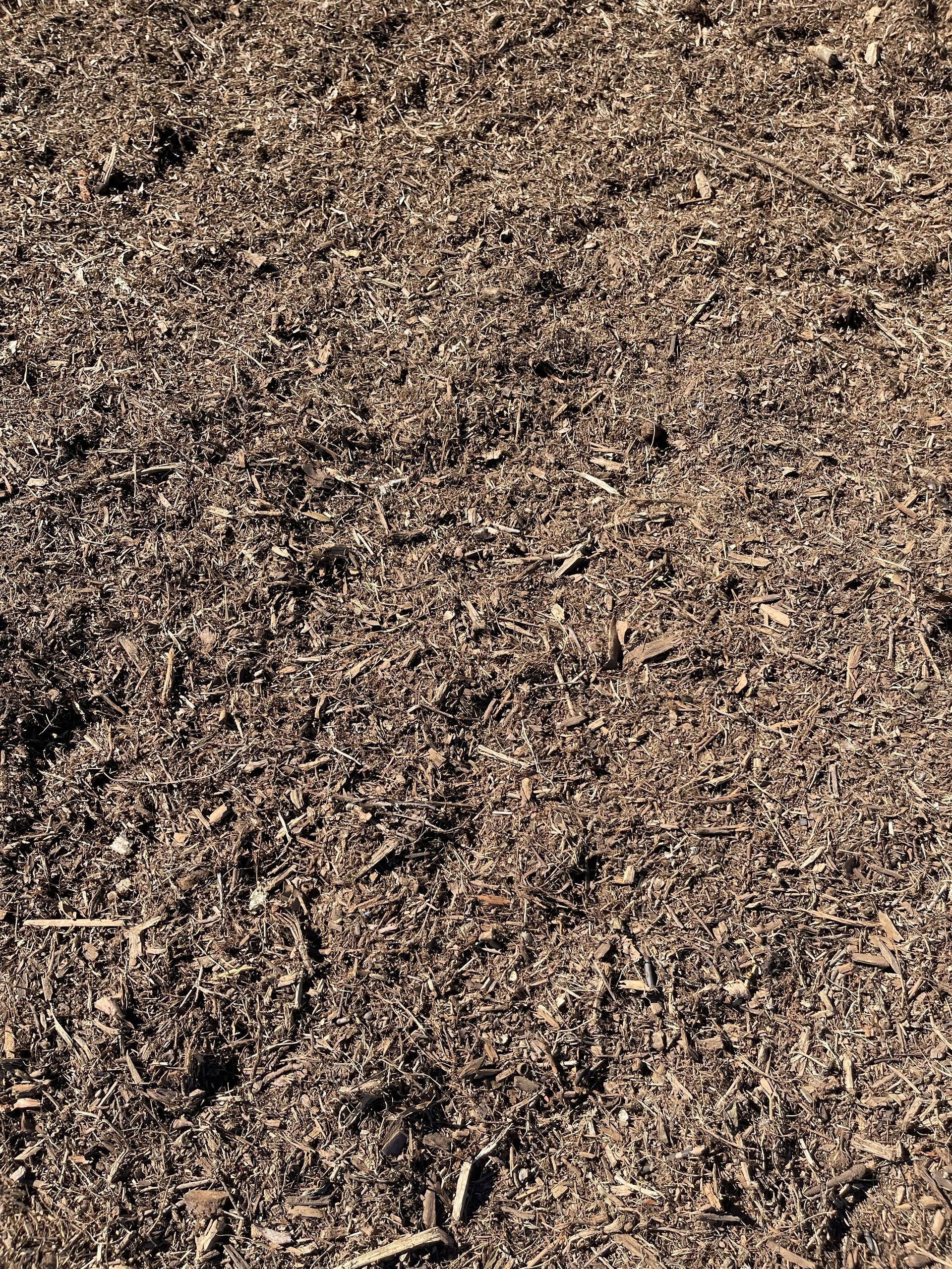 Close-up of rough brown soil covered with small pebbles and dry debris