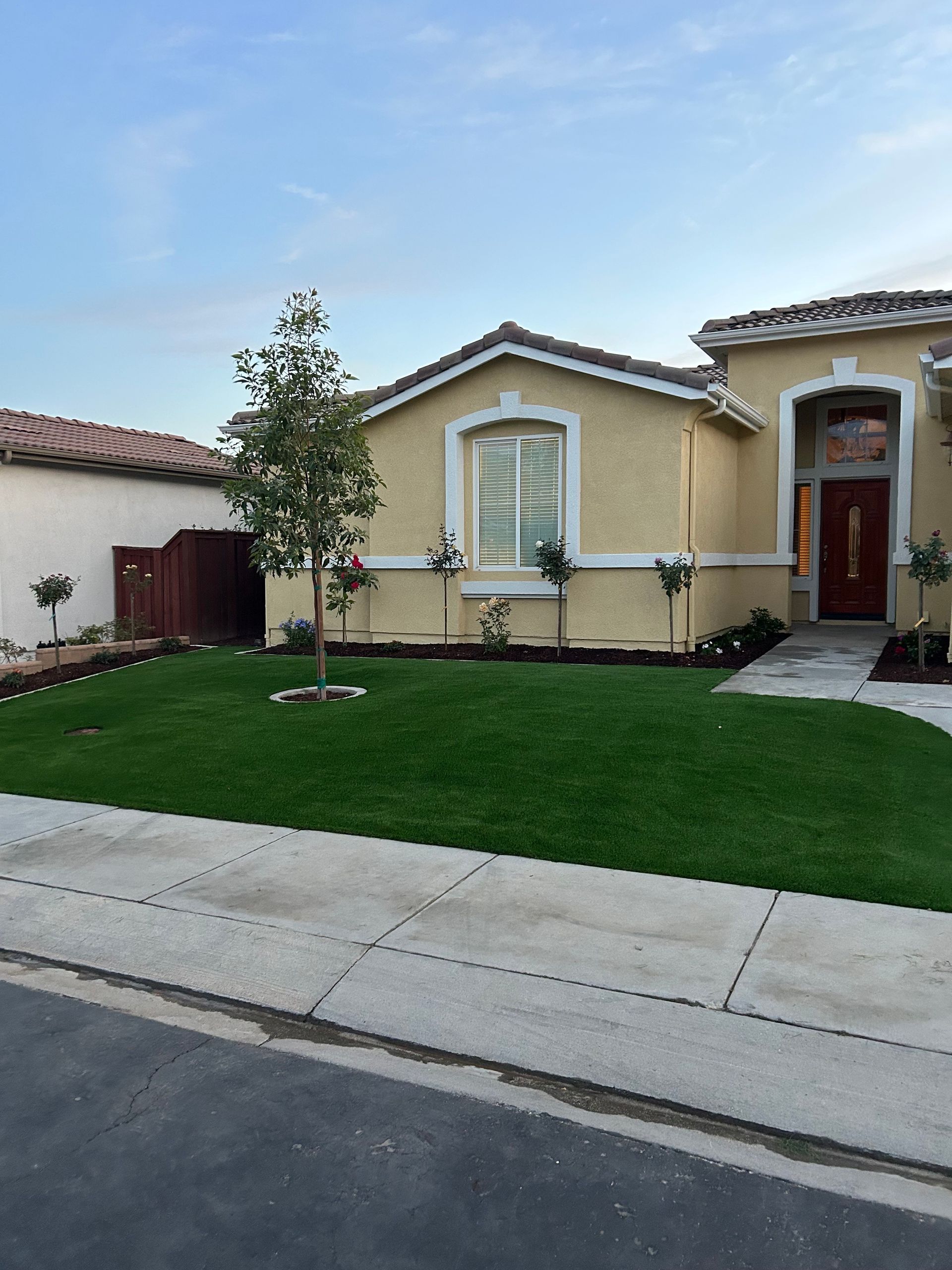 Front Yard Landscape Design, Yard Renovation, Overgrown Plant Removal, New Plant Installation, Grass Installation