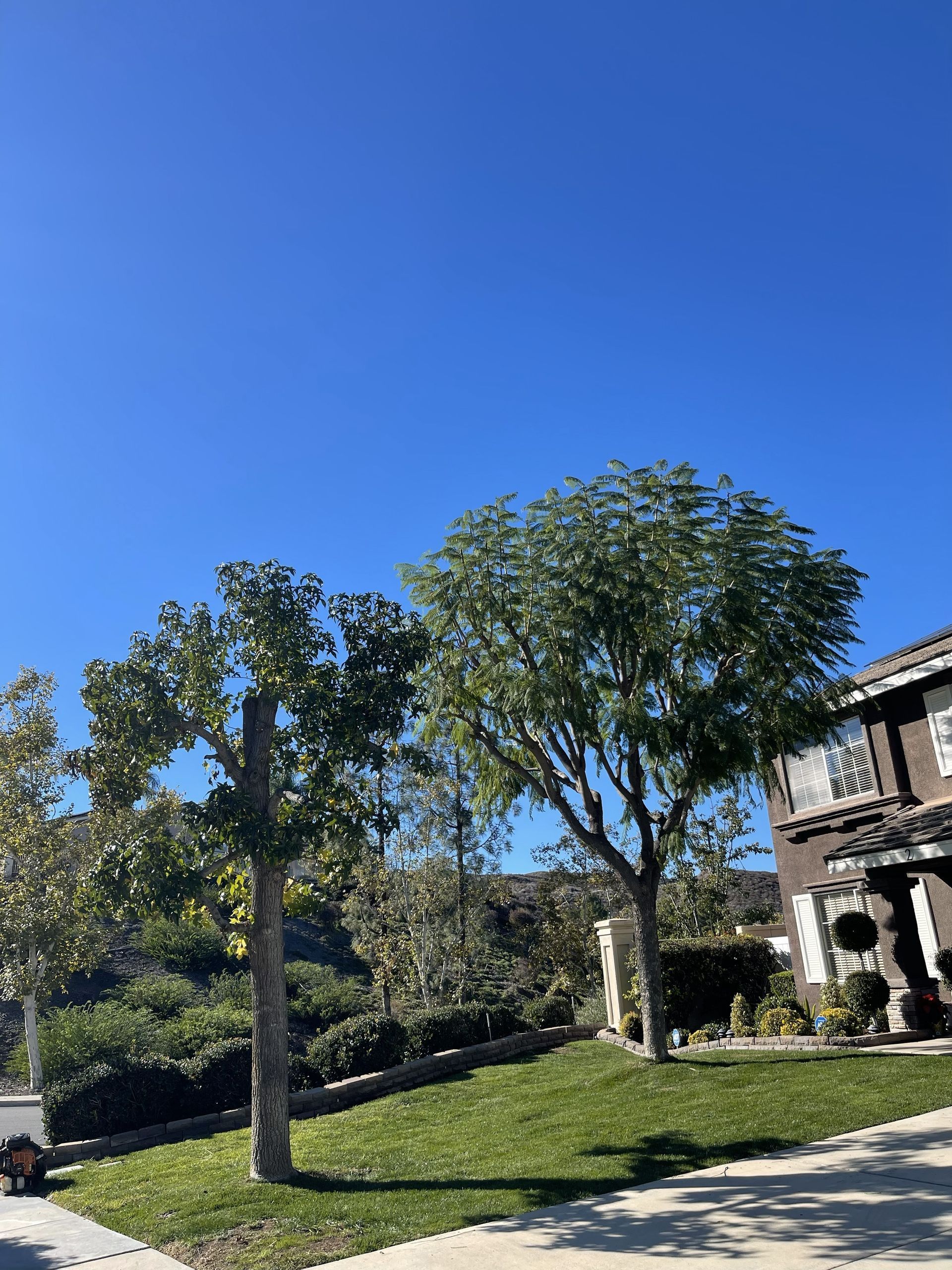 Lawn Maintenance, Tree Trimming, Tree Shaping, Clearance Trimming, Debris Cleanup