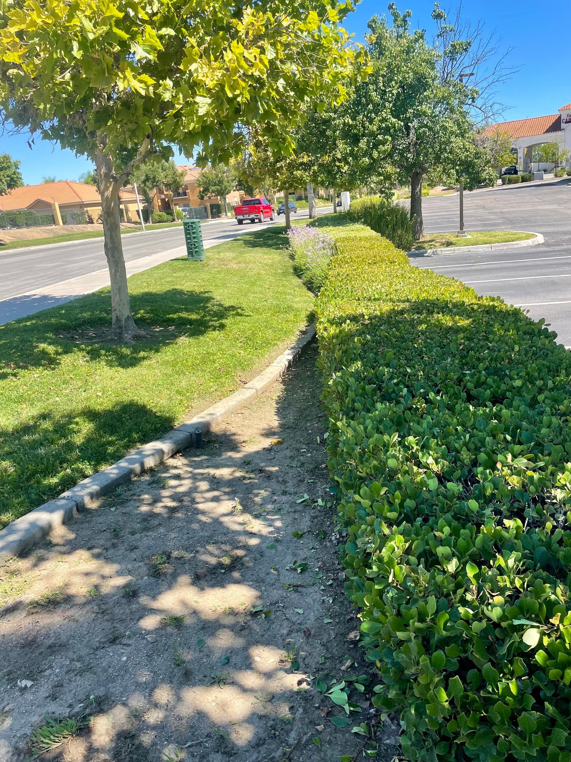 Monthly Landscape Maintenance, Recurring Lawn Care, Landscape Upkeep, Trimming & Cleanup, Residential & Commercial Maintenance