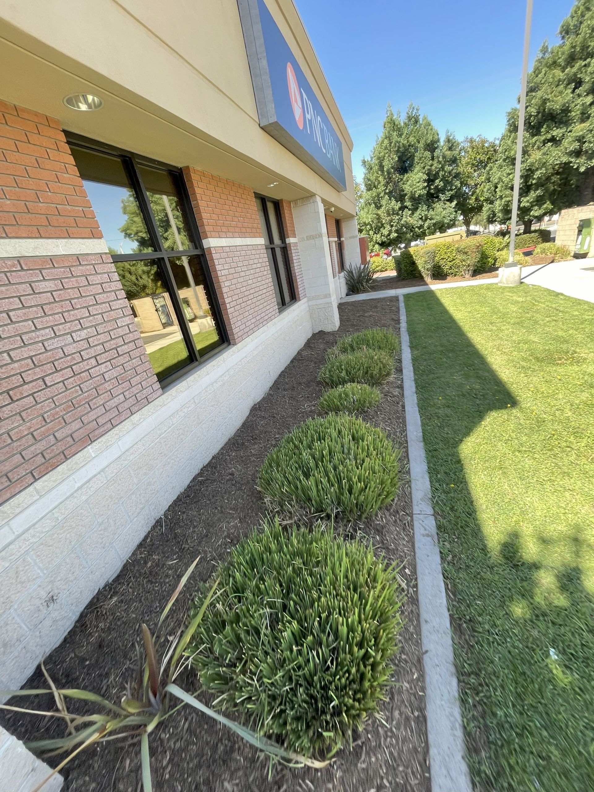Exterior of a building with a brick facade, windows, and trimmed bushes in a bed of mulch. Green lawn nearby.