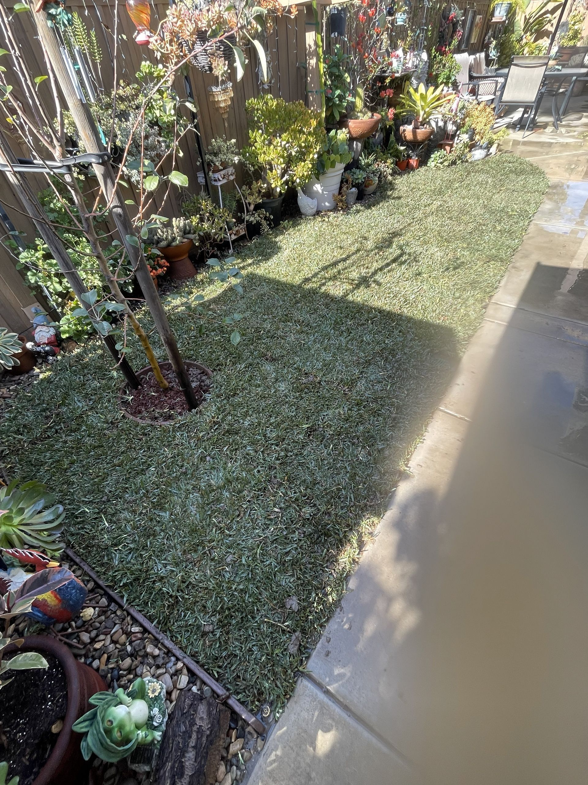 Backyard Sod Installation, New Lawn Install, Ground Preparation, Clean Edging, Soil Preparation